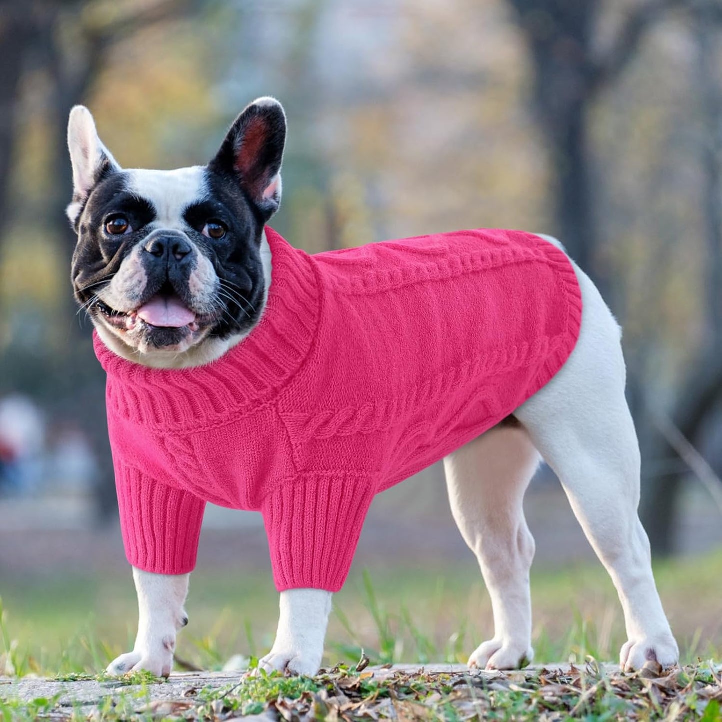 Queenmore Small Dog Pullover Sweater, Cold Weather Cable Knitwear, Classic Turtleneck Thick Warm Clothes for Chihuahua, Bulldog, Dachshund, Pug (Fuchsia, Large)