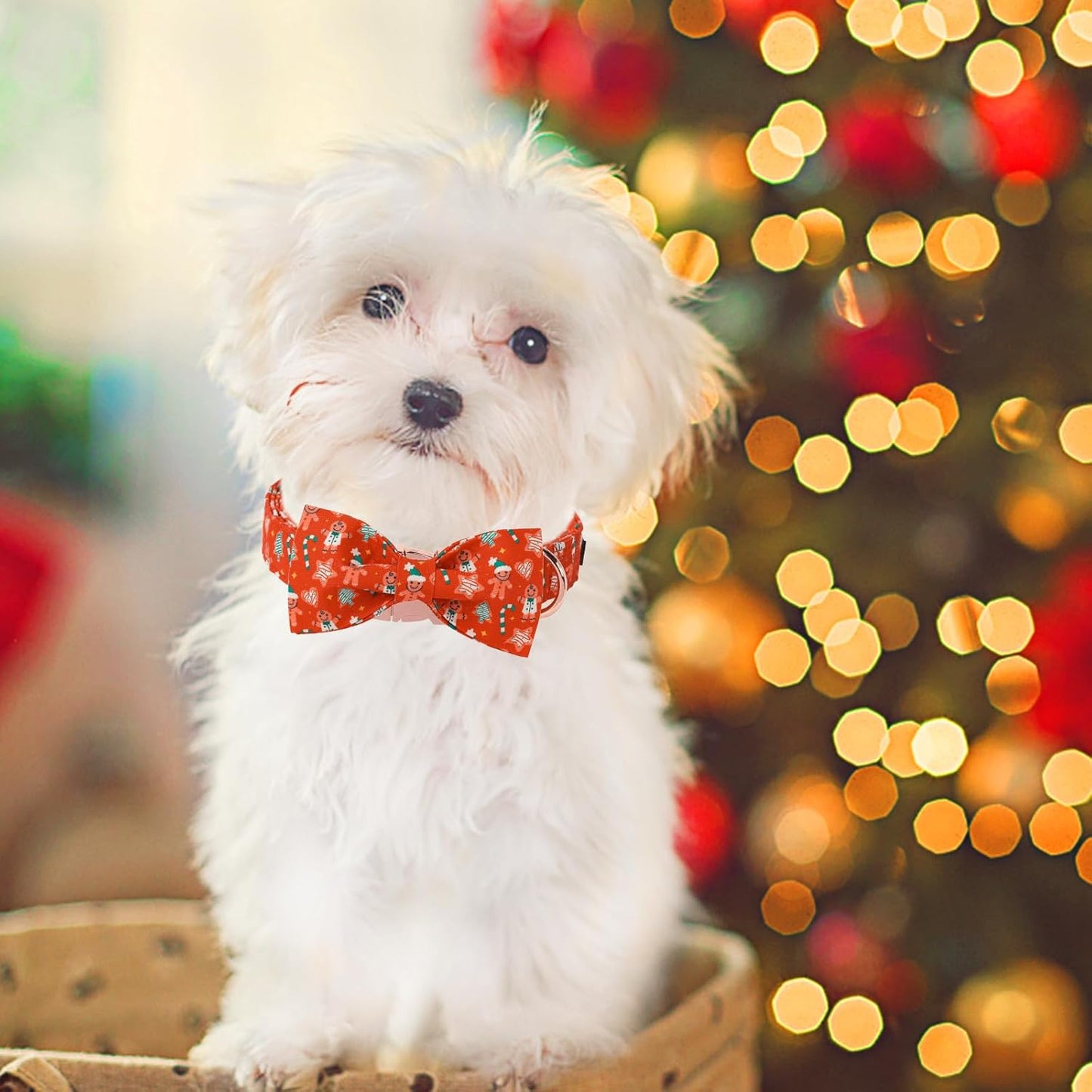 Unique Style Paws Christmas Day Dog Collar with Bow Red Gingerbred Cotton Puppy Collars for Small Medium Large Dogs