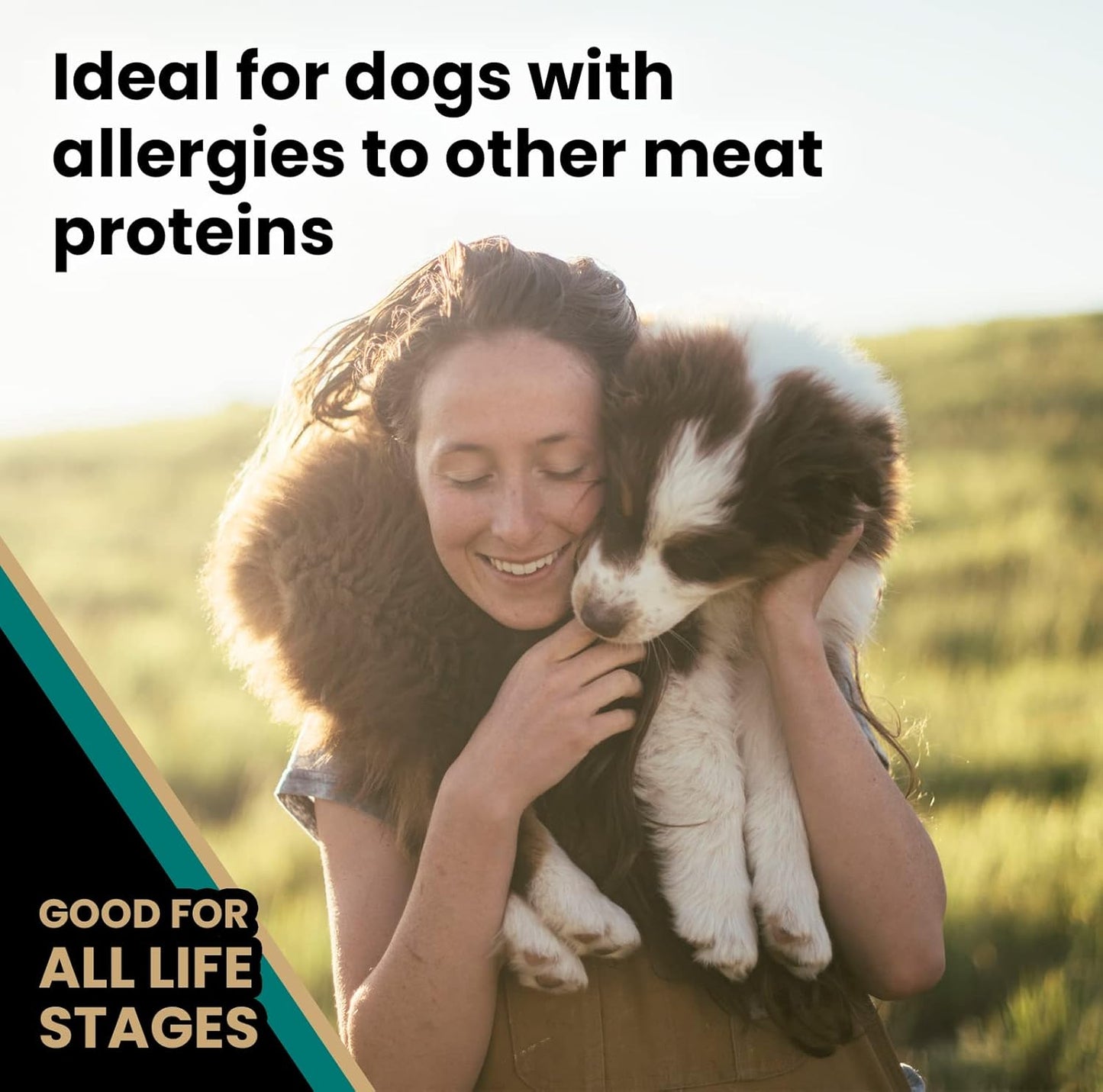 VICTOR Super Premium Dog Food – Select Ocean Fish Formula with Salmon – Omega-3 and Omega-6 Enriched Gluten-Free Dry Kibble for All Normally Active Dogs of All Life Stages, 40lbs