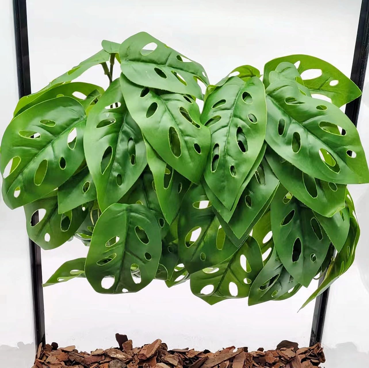 Reptile Plants for Terrarium Decor, Amphibian Habitat Decor, Reptile Tank Accessories, Artificial Hanging Plants with Suction Cup-2 Packs (Swiss Cheese)