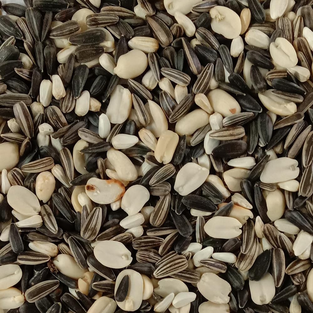 Songbird Blend Bird Food, Mix of Sunflower Seeds/Kernels, Safflower Seeds and Peanuts, 5 Pounds | No Grow Seed | Bird Seed for Wild Birds