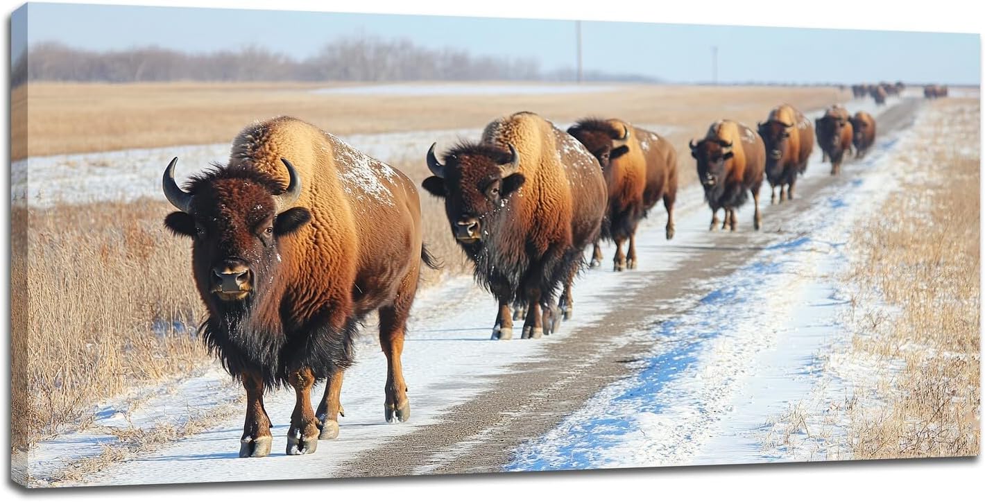 Quorin American Bison Large Wall Art Rural Country Landscape Pictures Wild Animal Wall Decor Nature Canvas Print Painting Artwork for Bathroom Living Room Bedroom 30"x60"
