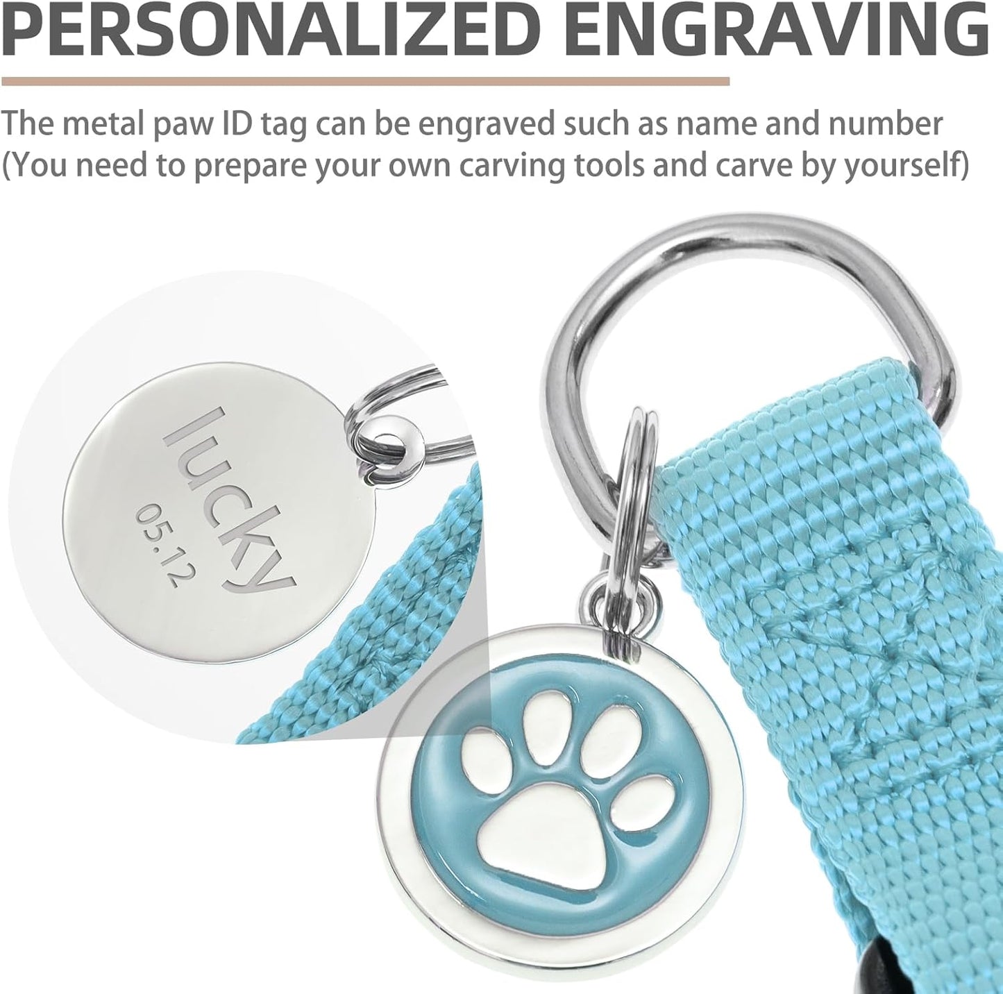 PUPTECK No Pull Dog Harness Soft Adjustable Basic Nylon Step in Puppy Vest Outdoor Walking with ID Tag and A-ir Tag Case, Sky Blue, M