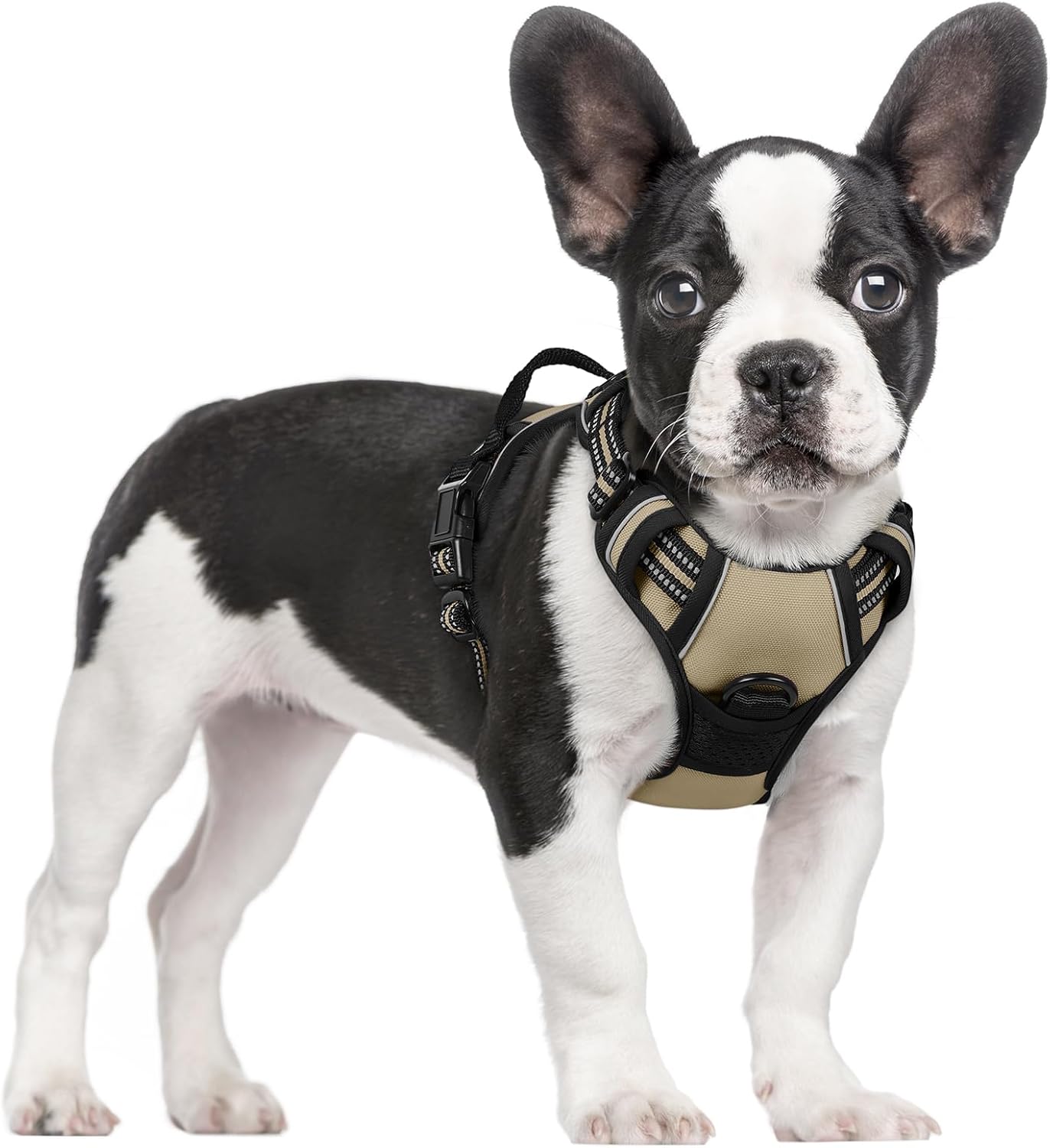 rabbitgoo Dog Harness No Pull with 2 Leash Clips, Adjustable Soft Padded, Reflective Oxford No Choke Pet Vest with Easy Control Handle for Small Dogs, Beige, S