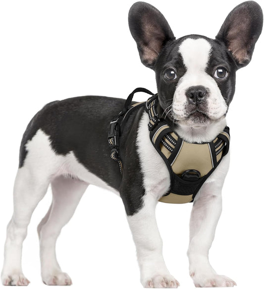 rabbitgoo Dog Harness No Pull with 2 Leash Clips, Adjustable Soft Padded, Reflective Oxford No Choke Pet Vest with Easy Control Handle for Small Dogs, Beige, S