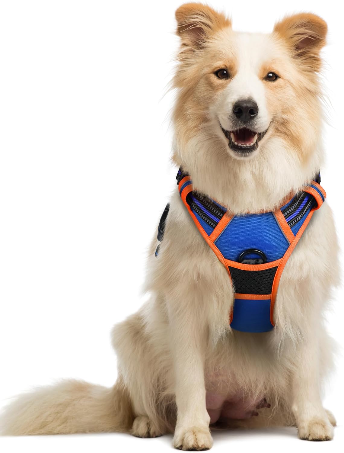 rabbitgoo Dog Harness No Pull with 2 Leash Clips, Adjustable Soft Padded, Reflective Oxford No Choke Pet Vest with Easy Control Handle for Medium Sized Dogs, Blue & Orange, M