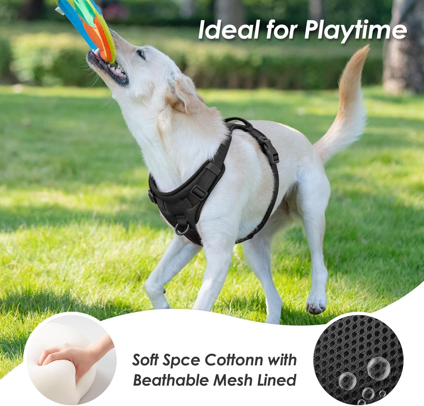 No Pull Dog Harness, Puppy Vest with Front Clip for Small Medium Large Sized Dog (Black,L)