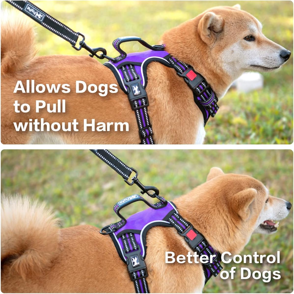 PoyPet No Pull Dog Harness, No Choke Front Clip Reflective Dog Vest with Soft Padded Vertical Handle, 3 Leash Attachments for Small Medium Large Dogs (Purple,XL)