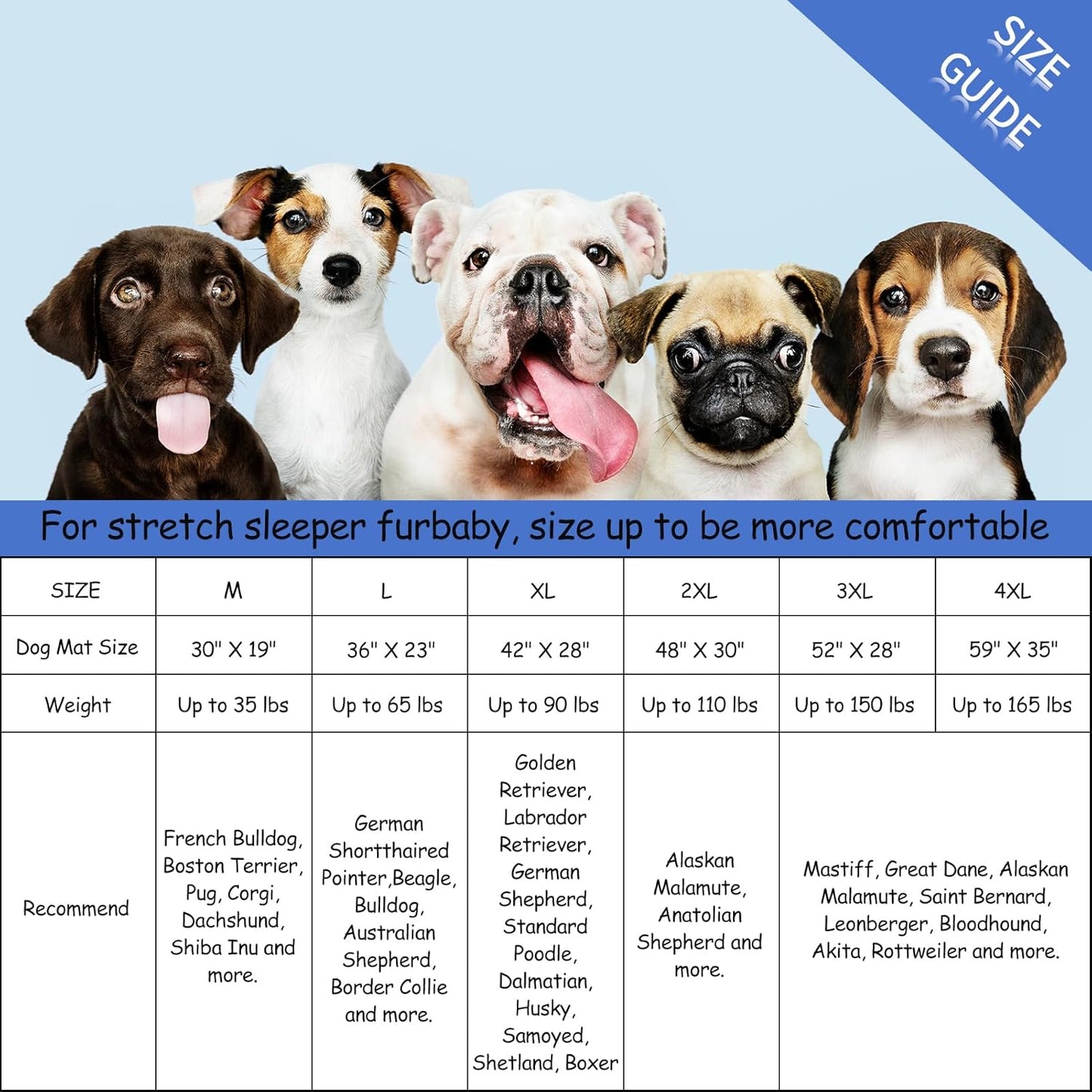 Bubble bear Dog Crate Mat - Ultra Soft, Washable & Anti-Slip Kennel Pad for Small/Medium/Large Dogs, Dark-Hued to Hide Stains (36"x23")