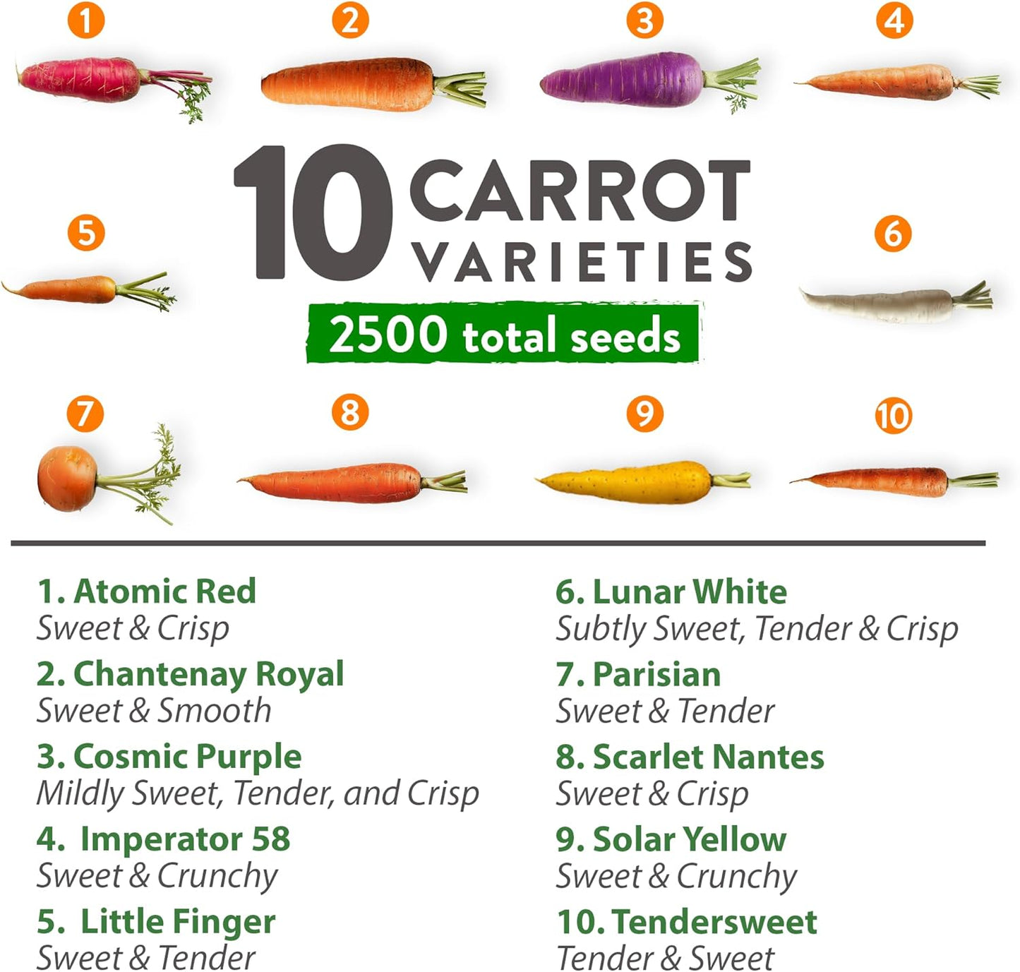 HOME GROWN 𝗨𝗦𝗔 𝗣𝗥𝗘𝗠𝗜𝗨𝗠 Rainbow Carrot Seeds – 2500+ Heirloom Seeds (10 Varieties) – High Germination, 𝗡𝗢𝗡-𝗚𝗠𝗢 Vegetable Seeds for Planting Indoors or Outdoor Home Garden