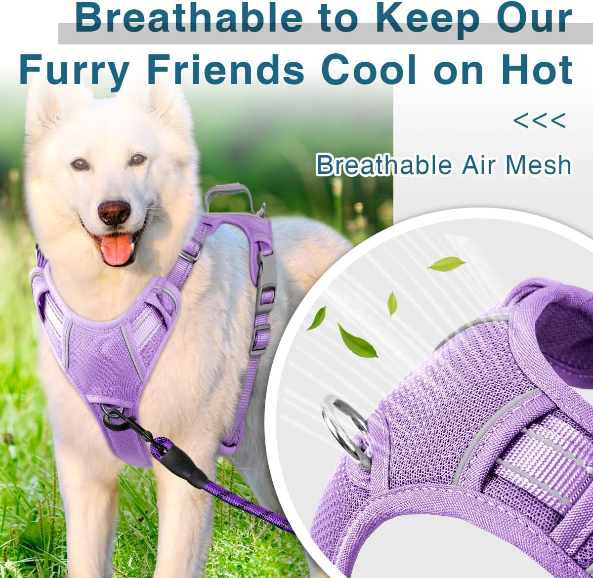 BARKBAY Dog Harness No Pull with ID Tag Pocket - Heavy Duty, Reflective, Easy Control for Large Dogs(Violet Purple,M)