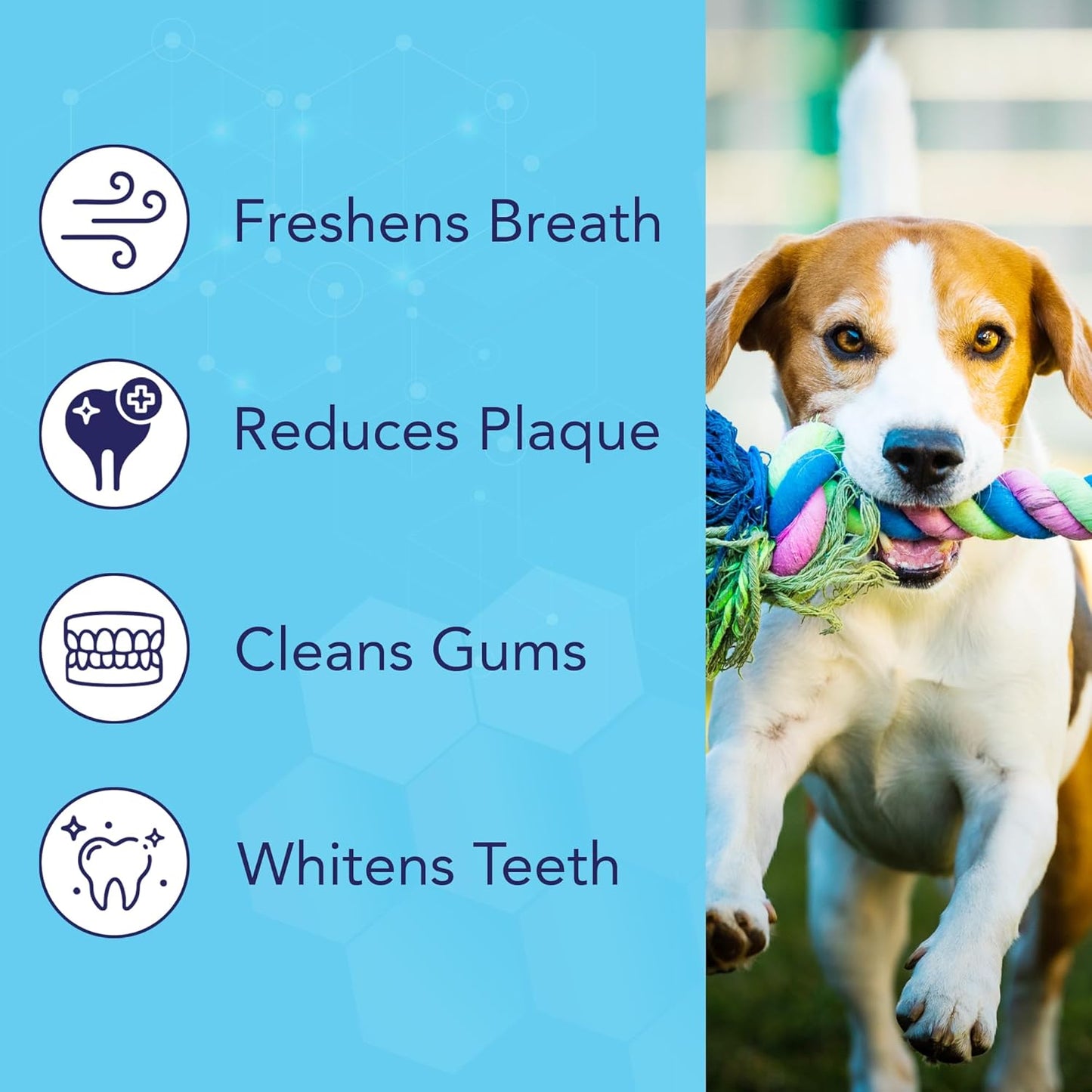 NOVEHA Pets Dental Finger Wipes for Dogs & Cats | Freshens Breath, Reduces Plaque | Healthier Gums | Clean Teeth No Toothbrush | Vet Recommended Effective Natural Oral Care (100 pcs, Mint)