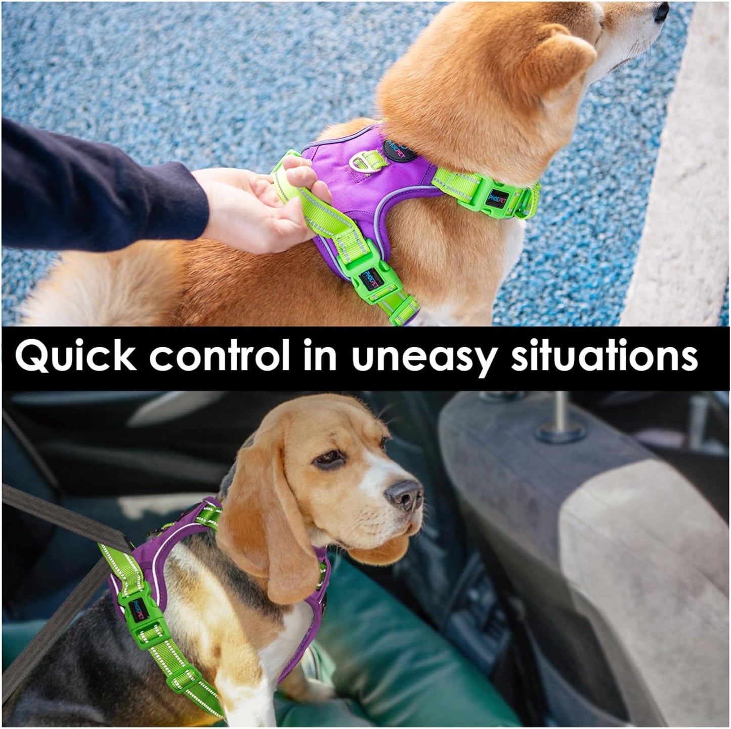 PHOEPET No Pull Dog Harness, Unique Colors Reflective Adjustable Dog Vest, with Soft Training Handle Metal Clips for Small Medium Large Dogs (Purple Base & Green Straps,XL)