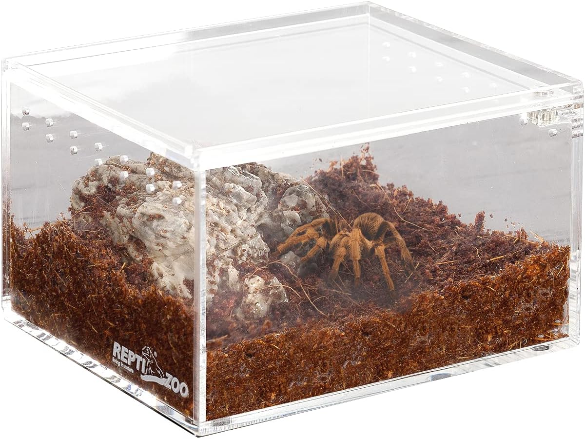 REPTI ZOO Magnetic Acrylic Case 4.1"x3.3"x2.5" Nano Enclosure Reptile Breeding Box Terrarium Cage Tank Tarantula Scorpion Sling Isopods Lizards Roach Invertebrates Insect Mantis