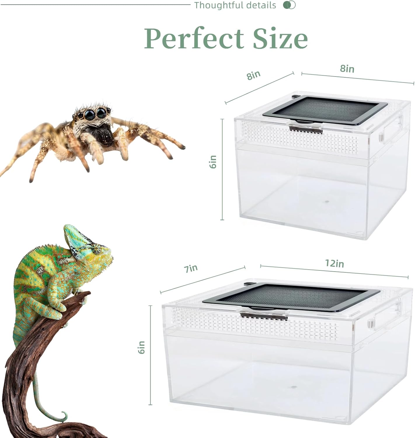 Reptile Terrarium 2025 Upgrade Leopard Gecko Tank Dual use of Water and Land, Stronger, More Durable, More Convenient, Suitable for Gecko, Hermit Crab, Tree Frog, Tarantula,Spiders (Large)