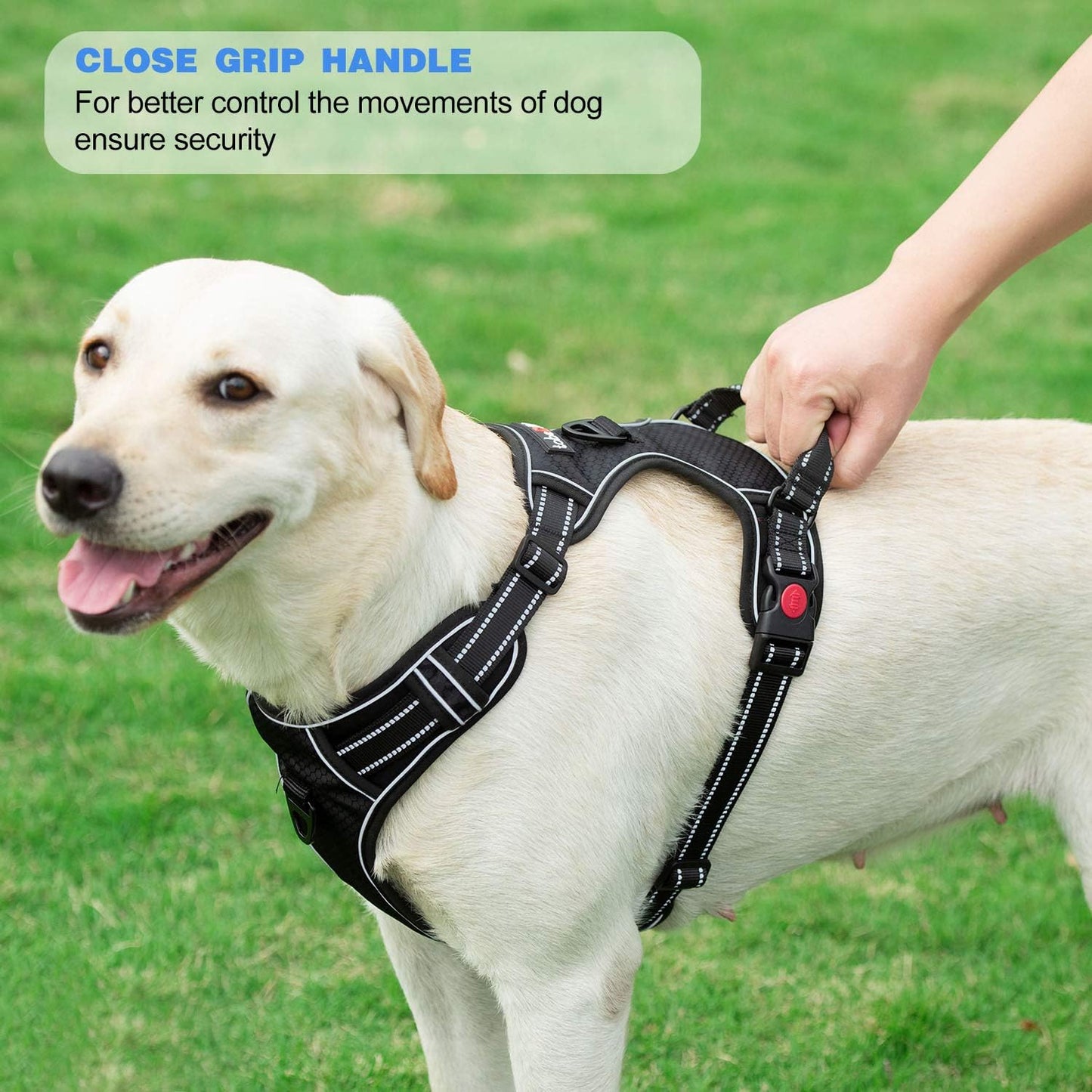 No Pull Dog Harness Adjustable Reflective Oxford Easy Control Medium Large Dog Harness with A Free Heavy Duty 5ft Dog Leash (L (Chest: 25.5"-31"), Black Harness+Leash)