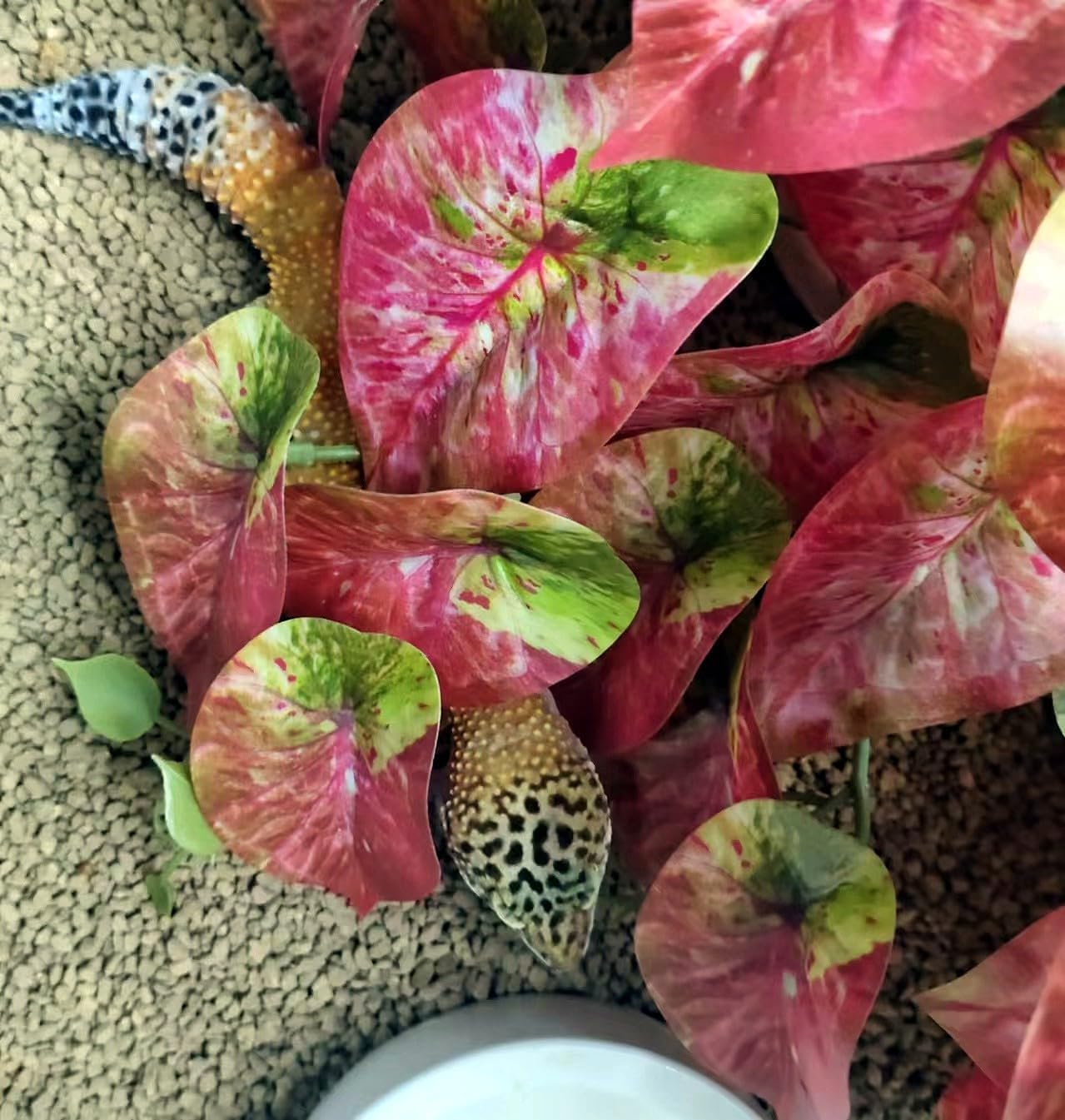 2 Pack Reptile Plants for Terrarium Decor, Amphibian Habitat Decor, Reptile Tank Accessories, Artificial Hanging Plants with Suction Cup (Red Arrowhead)