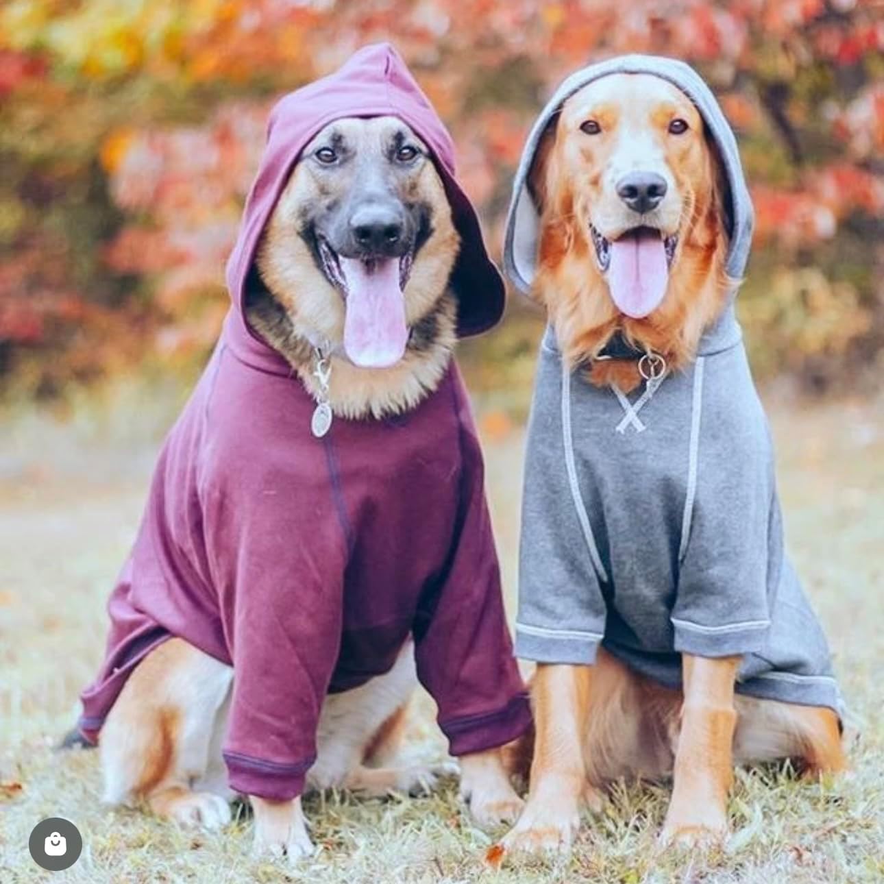 Blueberry Pet Essentials Hoodie – 26″ Cotton‑Blend Sweatshirt with Hood, Burgundy Red, Machine‑Washable Dog Jersey