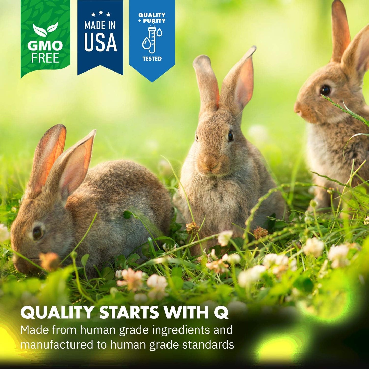 HealthyGut™ Probiotics for Rabbits Dietary Supplement, All-Natural Digestive System Formula (600 Servings)