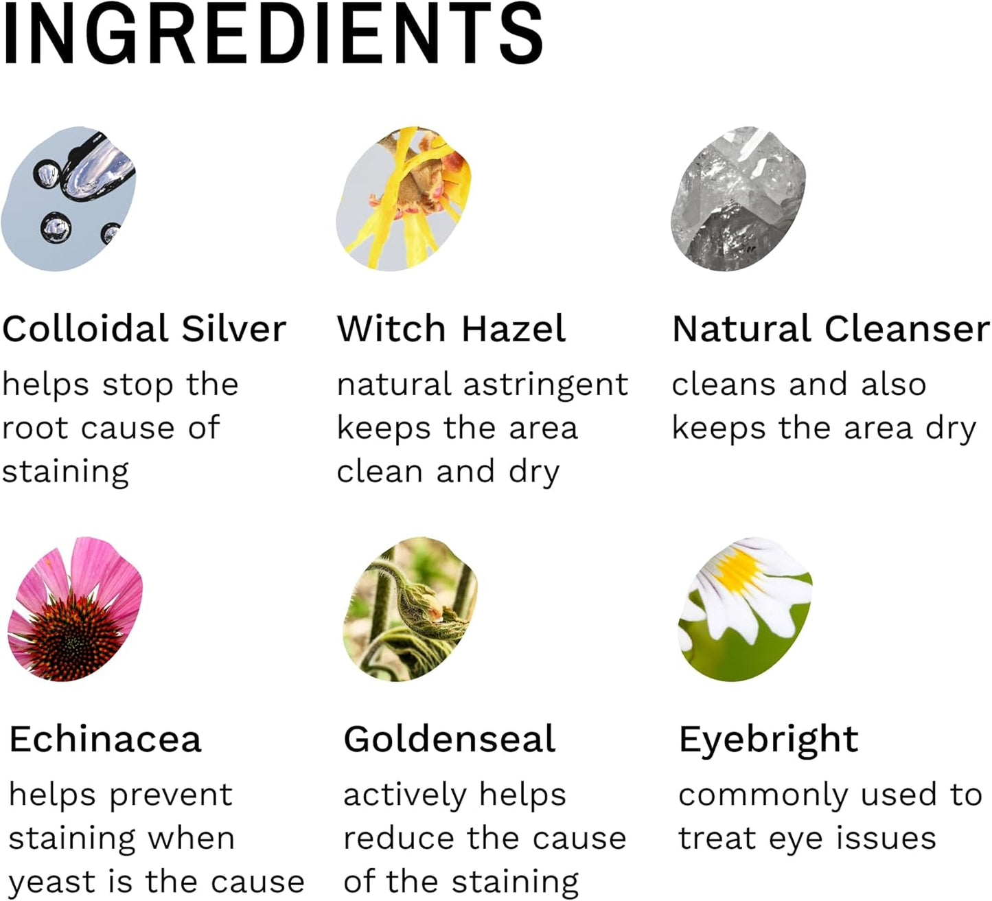 Eye Envy Dog Tear Stain Remover Starter Kit with ProPowder Brush | Stain Solution, Applicator Pads, Stain Powder and Small Applicator Brush | Lasts 30-45 Days