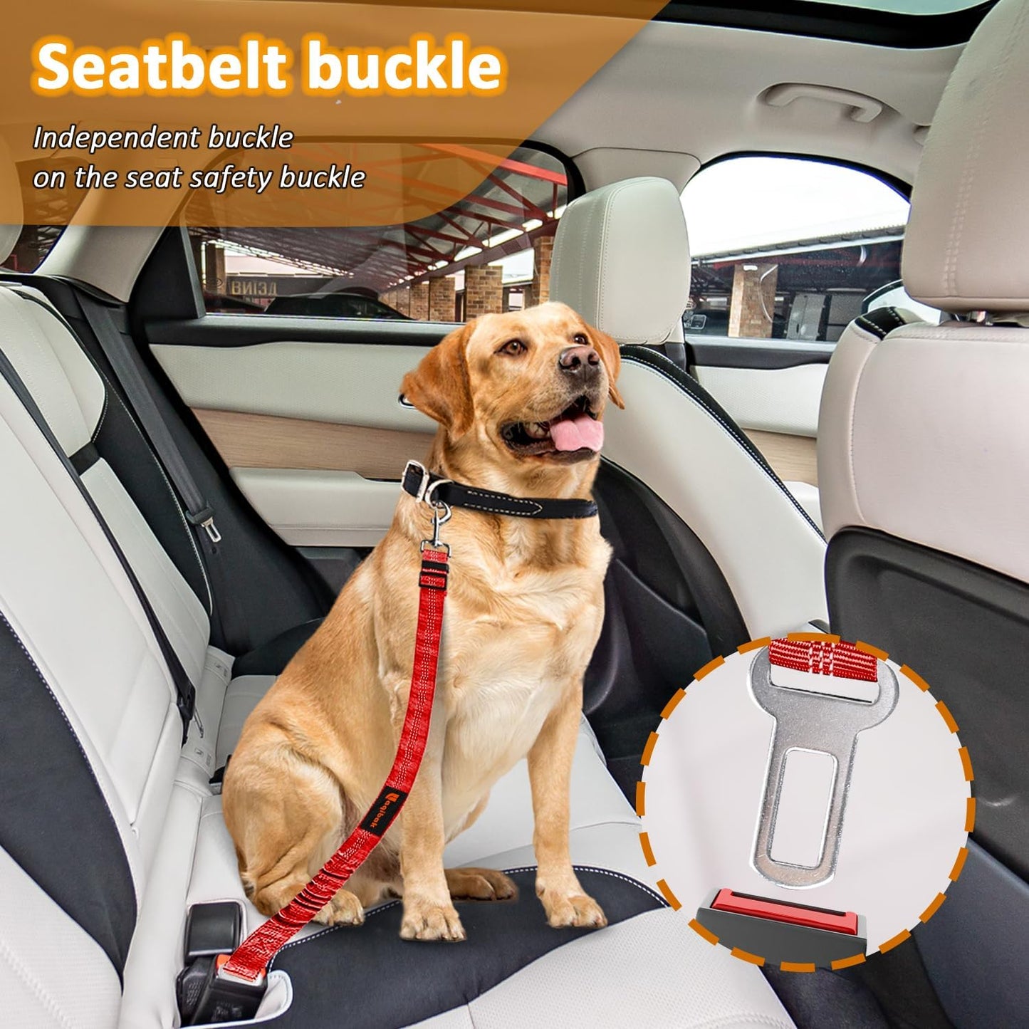 Removable Dog Seat Belt Harness for Car, 3 in 1 Pet Dog Car Seatbelt Leash, Retractable Restraint Secures to Vehicle Headrest & Adjustable Reflective Bungee Dog Seatbelt Tether, Red