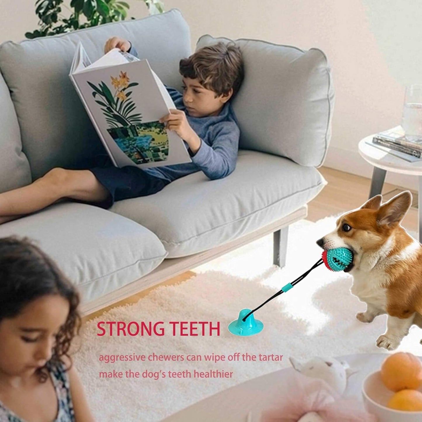 Dog Toys Dog Chew Toys for Aggressive chewers, Puppy Dog Training Treats Teething Rope Toys for Boredom Dog Puzzle Treat Food Dispensing Ball Toys for Puppies Teething (Blue)