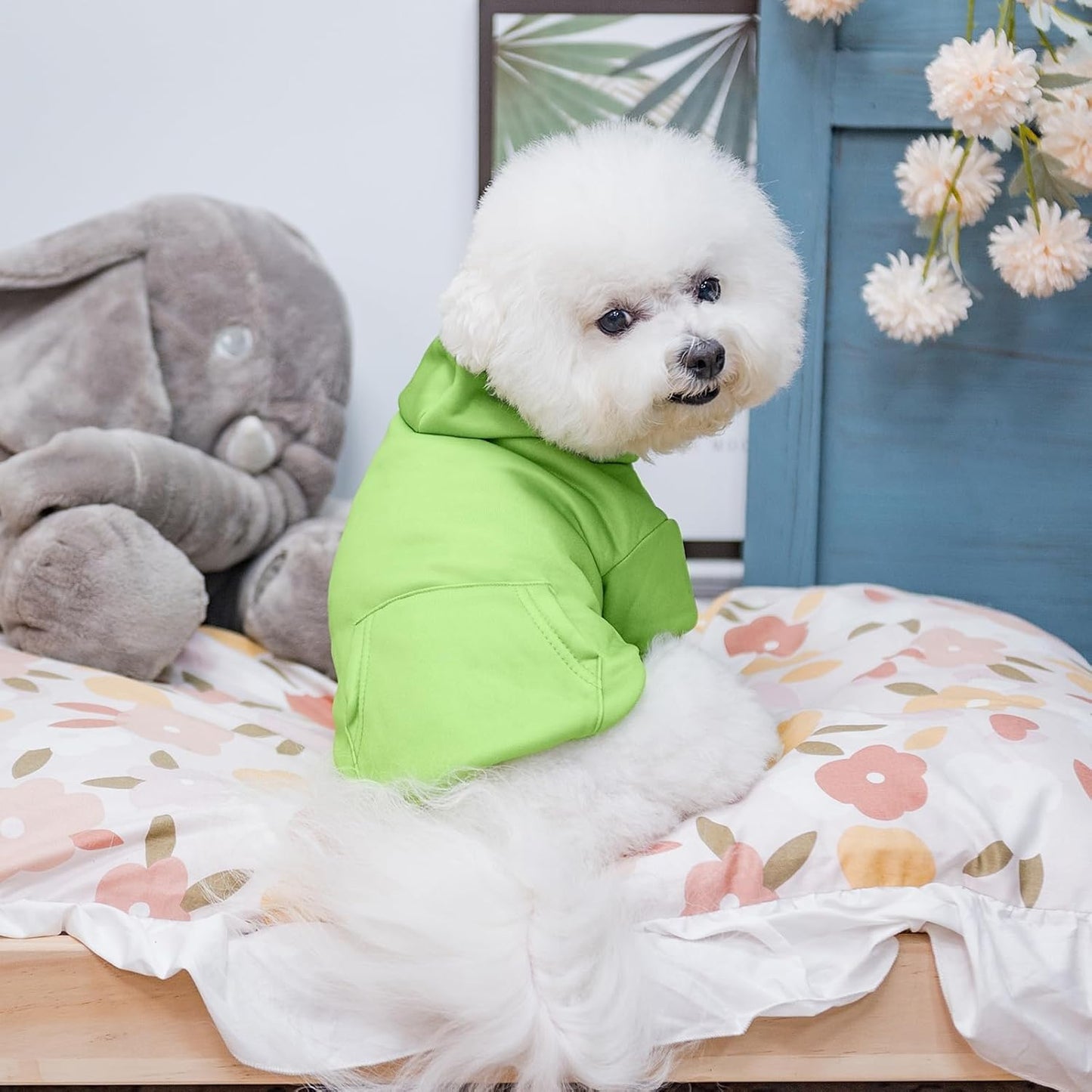 KOOLTAIL Basic Dog Hoodie - Soft & Warm Dog Hoodie Sweater with Leash Hole and Pocket, Dog Winter Coat, Cold Weather Clothes Sweatshirt for Small Medium Large Dogs Puppy Cat Boys Girls Green SM