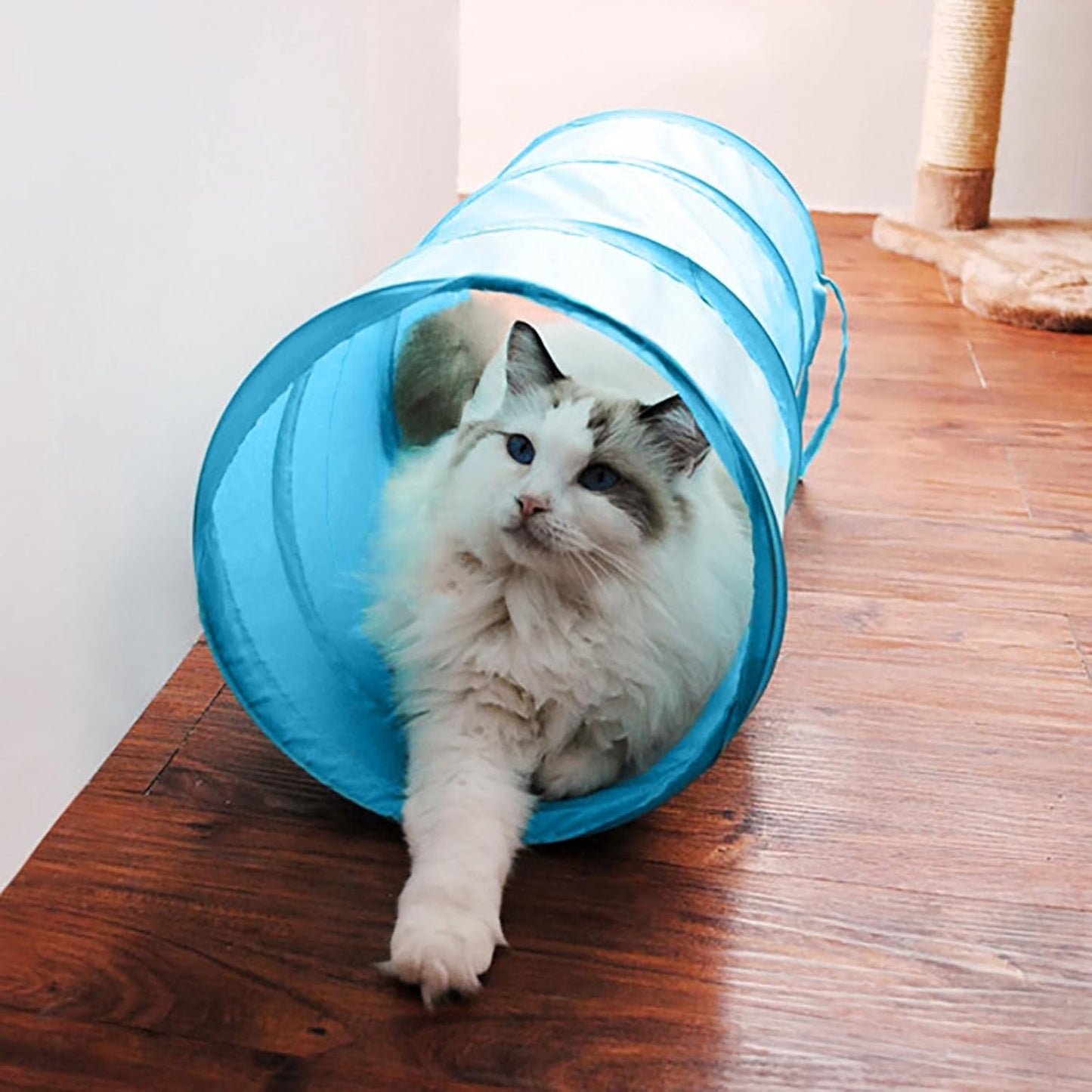 iCAGY Foldable Spiral Cat Tunnel - Ideal Indoor Toy for Small Cats, Kittens, and Rabbits - Collapsible Tube for Interactive Play and Outdoor Fun - Pet Activity Toy Black 20" 3 Pcs