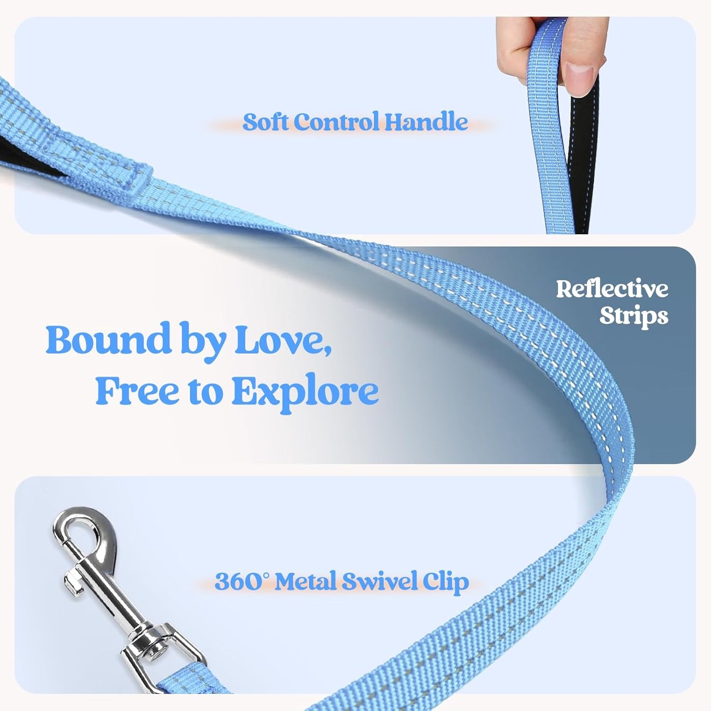 rabbitgoo Dog Harness Small Sized and Leash Set, Step in Soft Light Puppy Vest, Breathable Mesh Pet Harness, Reflective for Safe Easy Walking, Blue & Orange S