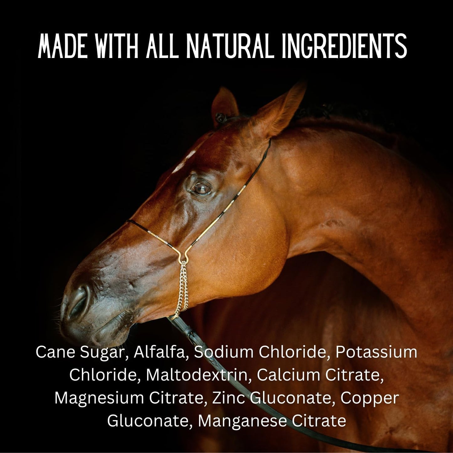 Gallagher's Water 120 Pack All-Natural Patented Equine Hydration Treat - Enhancement Powder Mix Horse Drink Treat to Help Encourage to Drink Water - Made with All Natural Ingredients, FEI Compliant