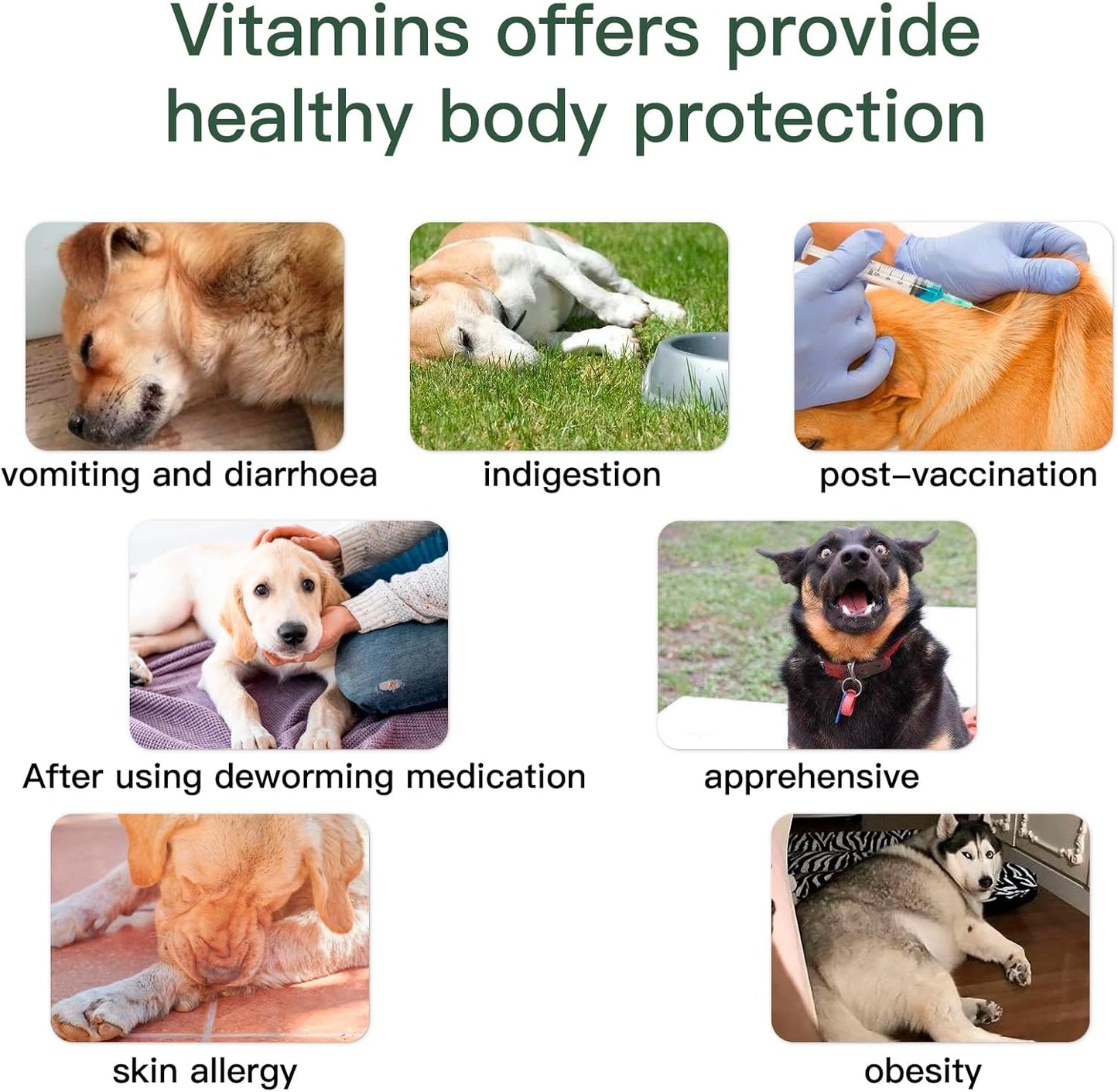 Dog Vitamins and Supplements, Senior & Puppy Multivitamin for Dogs Support with Glucosamine Chondroitin Omega Probiotics - Dog Multivitamins Chewable for Hip & Joint, Skin, Immune - (Chicken 240 Ct)