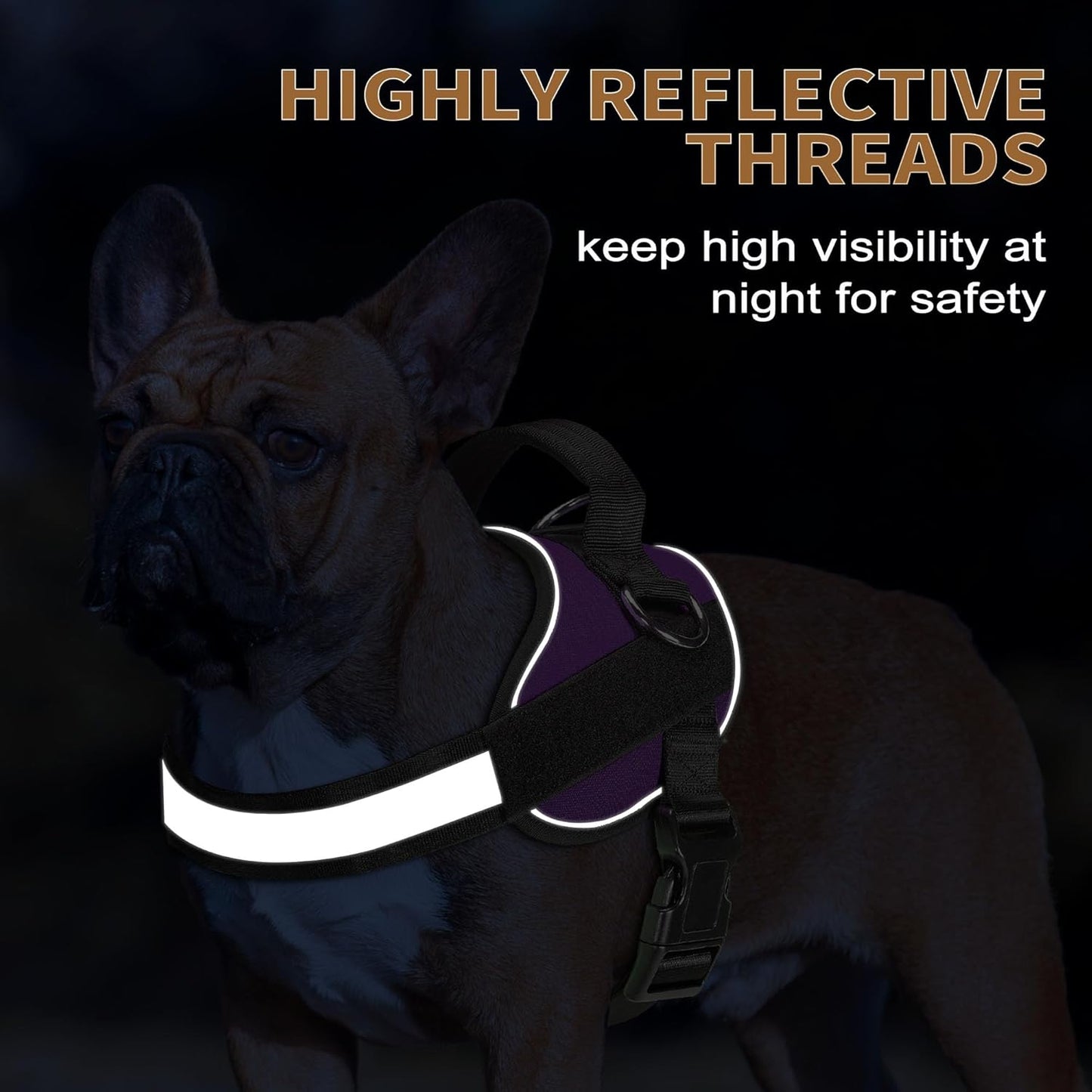 Haapaw Essential Dog Harness, No Pull Pet Vest with 3 Leash Clips, No Choke, Reflective, Adjustable and Padded, for Easy Walking and Training for Medium Dogs(M, Purple)