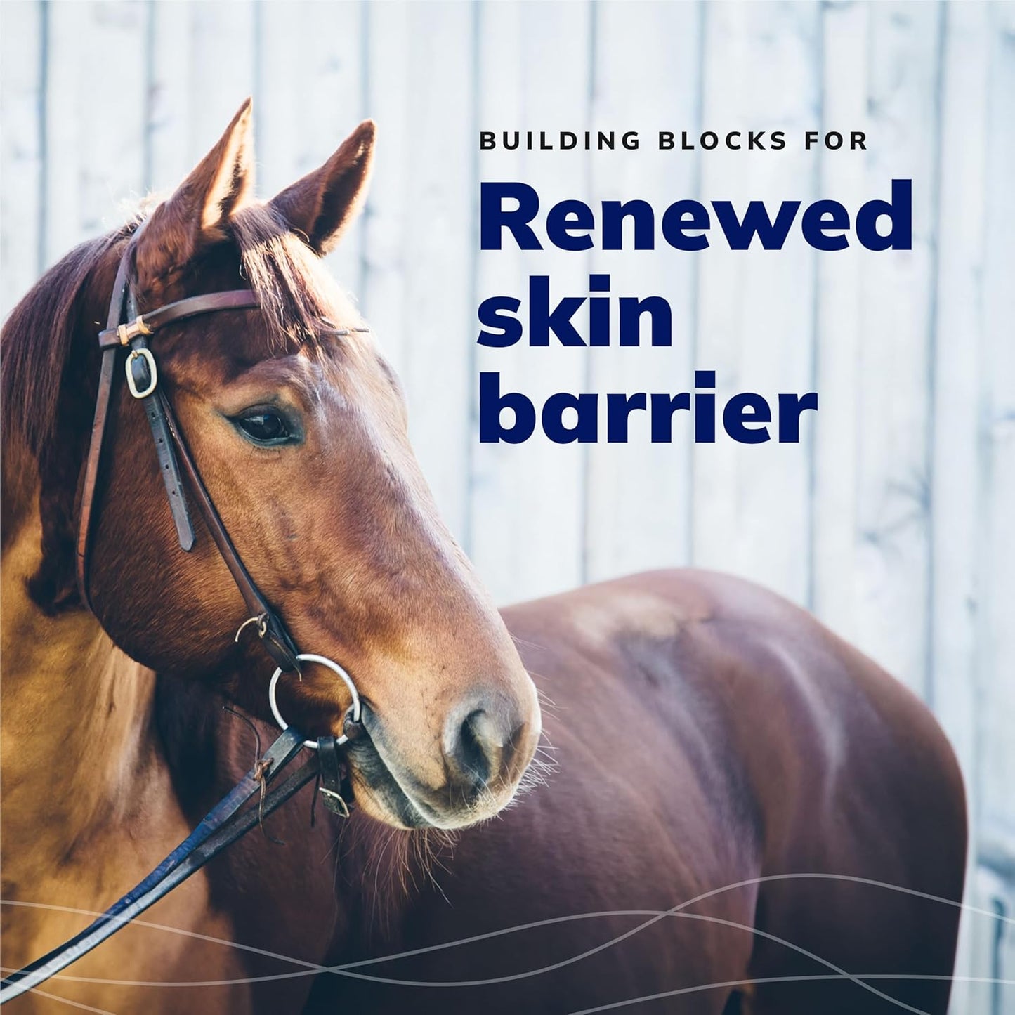 CeraSoothe® CHX Antiseptic Shampoo 16oz