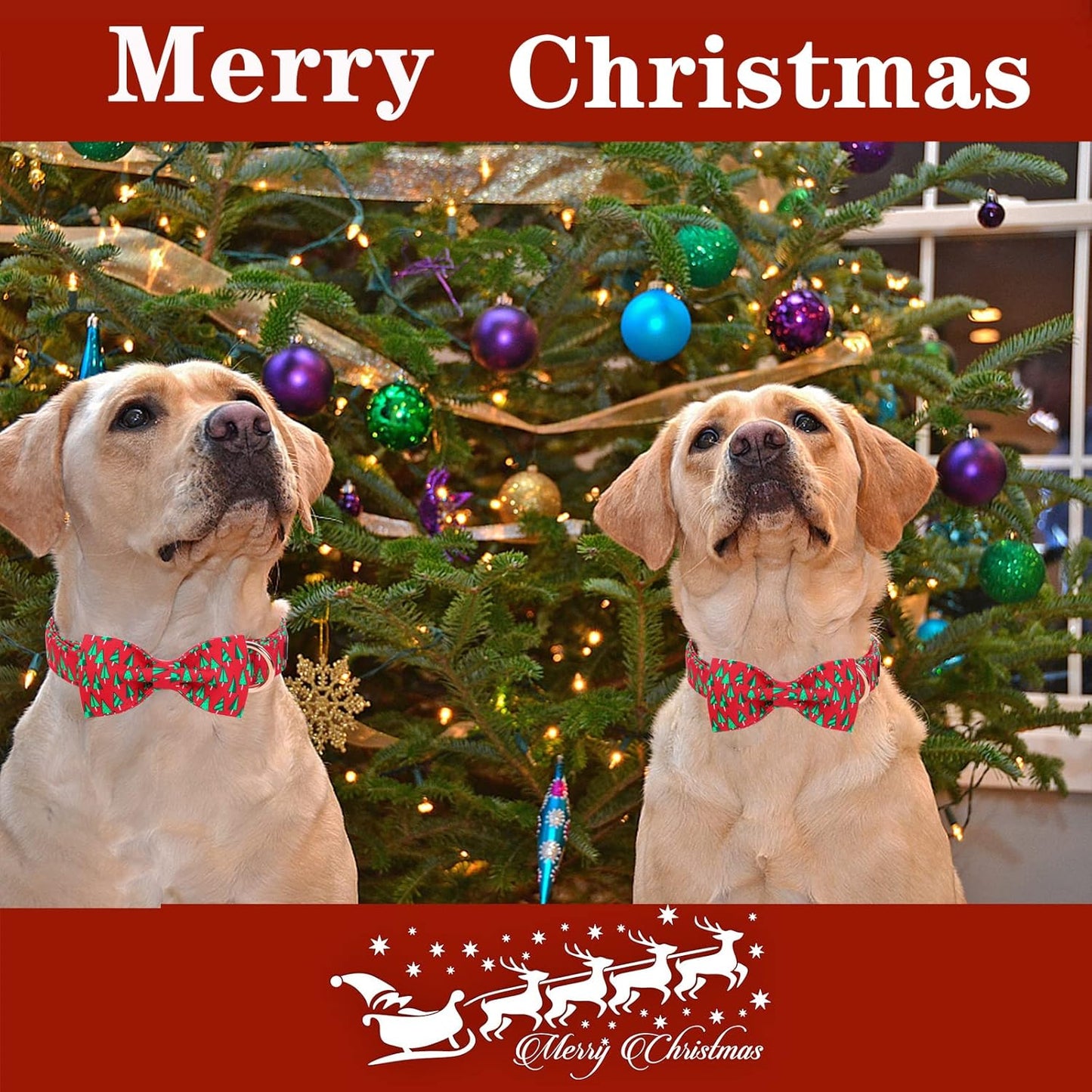 Unique style paws Christmas Dog Collar with Bow Best Winter for Small Medium Large Dogs -Christmas Tree-L