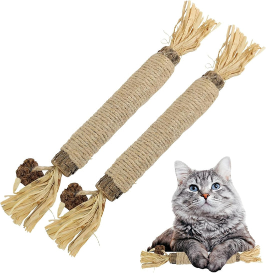 HUPA Catnip Silvervine Sticks | Anxiety Relief & Kitten Teeth Cleaning, Natural Silvervine with Raffia Grass for Healthy Teeth & Digestion | for Indoor Cats, All Ages & Breeds | 2 Sticks