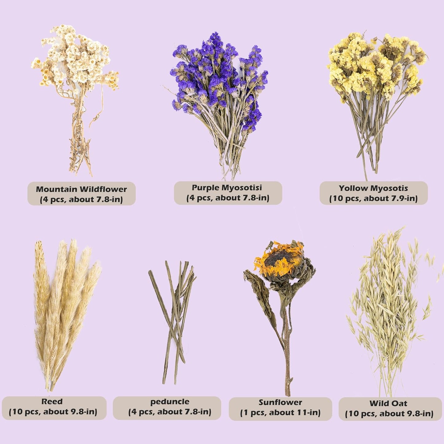 Natural Ear of Grain Flower&Herb Bedding Mate Habitat Decor, Adding Fun Hamster Accessories for Hamsters Gerbils Lemming