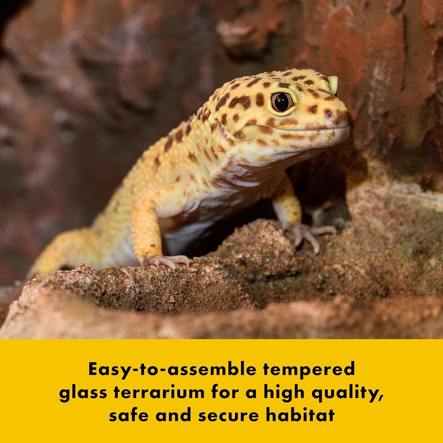 Zilla QuickBuild Reptile 40 Gallon Glass Terrarium Habitat with Swing Door For Geckos, Snakes, Lizards, Frogs, Turtles, and Tortoises, 36" x 18" x 18"