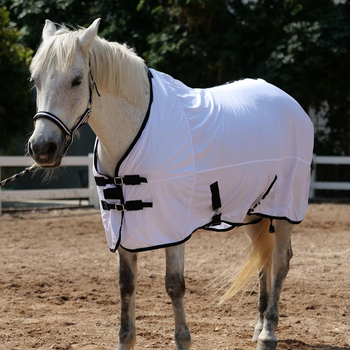 Horse Fly Sheet Equine Summer Sheets, Comfy Mesh Bug and Mosquito Protection Standard Neck - White 75"