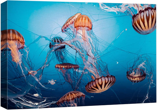 wall26 Canvas Print Wall Art Tiger Stripe Jellyfish Underwater Ocean Sea Nature Animals Photography Realism Rustic Scenic Landscape Wilderness Colorful for Living Room, Bedroom, Office - 12"x18"
