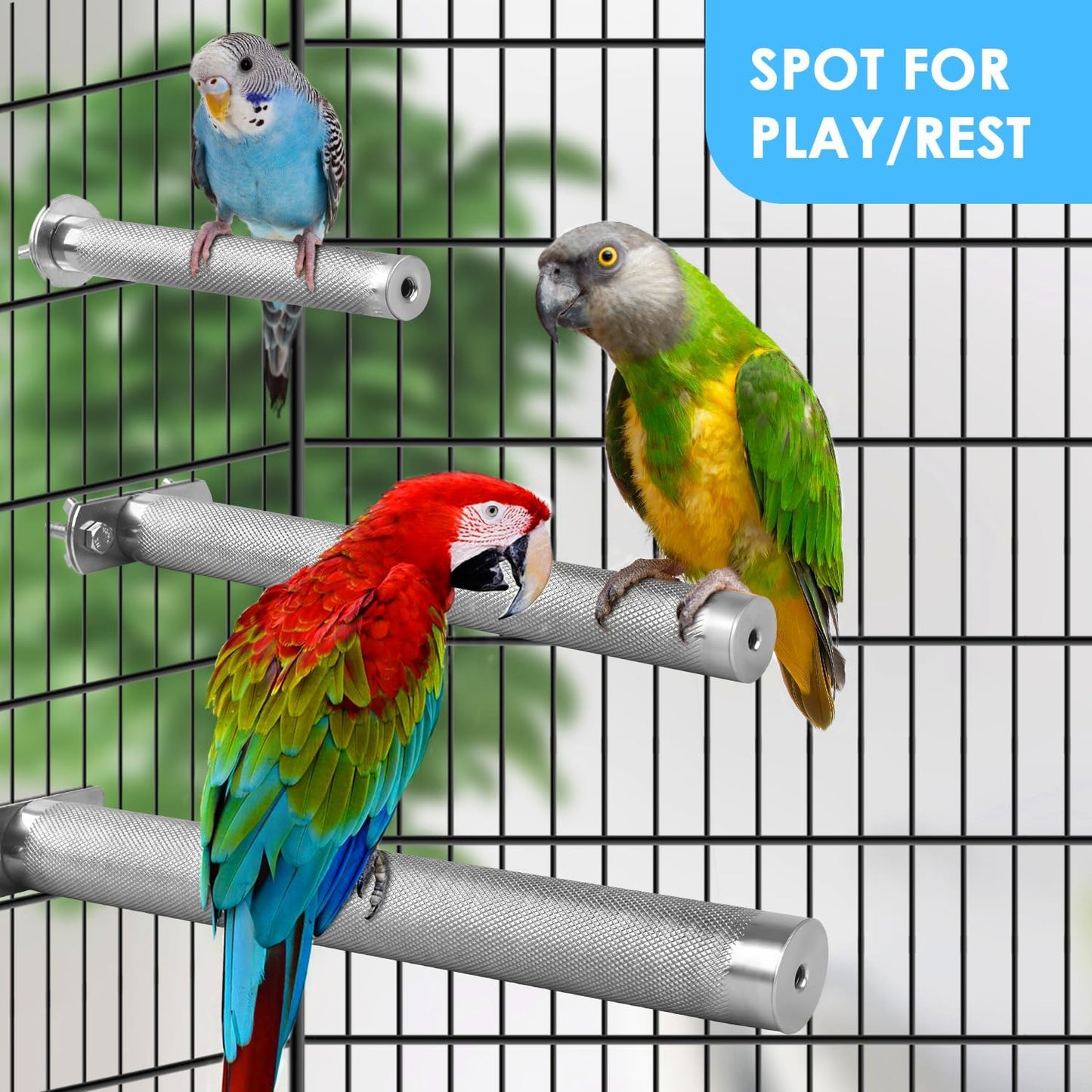 KATUMO Bird Perch - Stainless Steel - Rough Surface Stand for Small to Medium Parrots (9.8 x 1.0 inch)