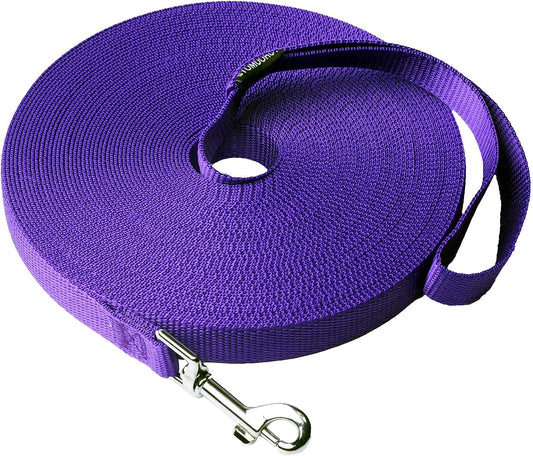 Dog/Puppy Recall & Behavior Training Rope Leash - 40 ft (Purple)