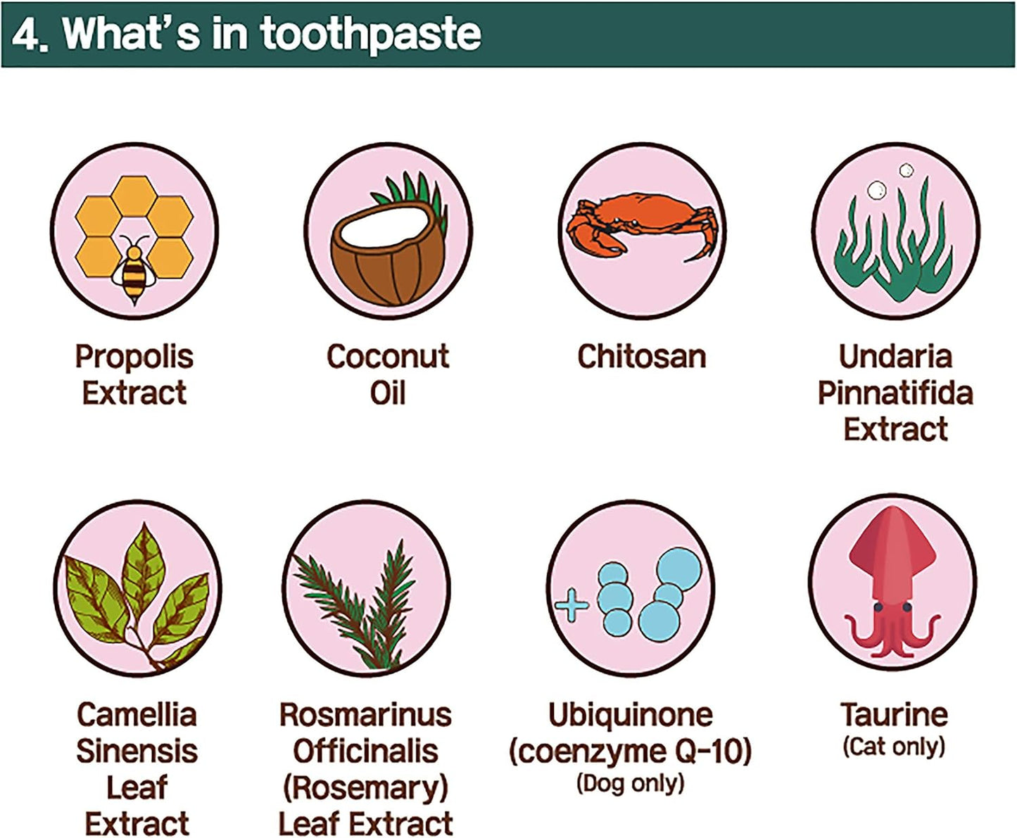 Cat Toothbrush & Toothpaste Kit – Flavor-Free Dental Gel for Cats – Finger Brush & Handle for Daily Oral Care – Plaque & Tartar Cleaning for Kittens and Adult Cats (2 Pack, 2 Count)