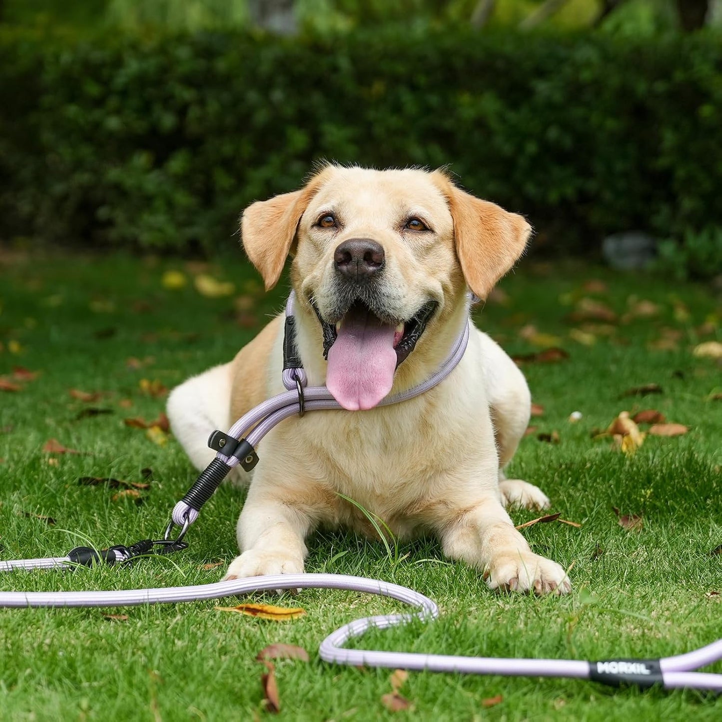 Rope Dog Leash, 4 ft Heavy Duty Dog Leash with Aviation Aluminum Auto Locking Carabiner, Strong Nylon Pet Lead for Small, Medium, Large Dogs (Blue, 4FT)
