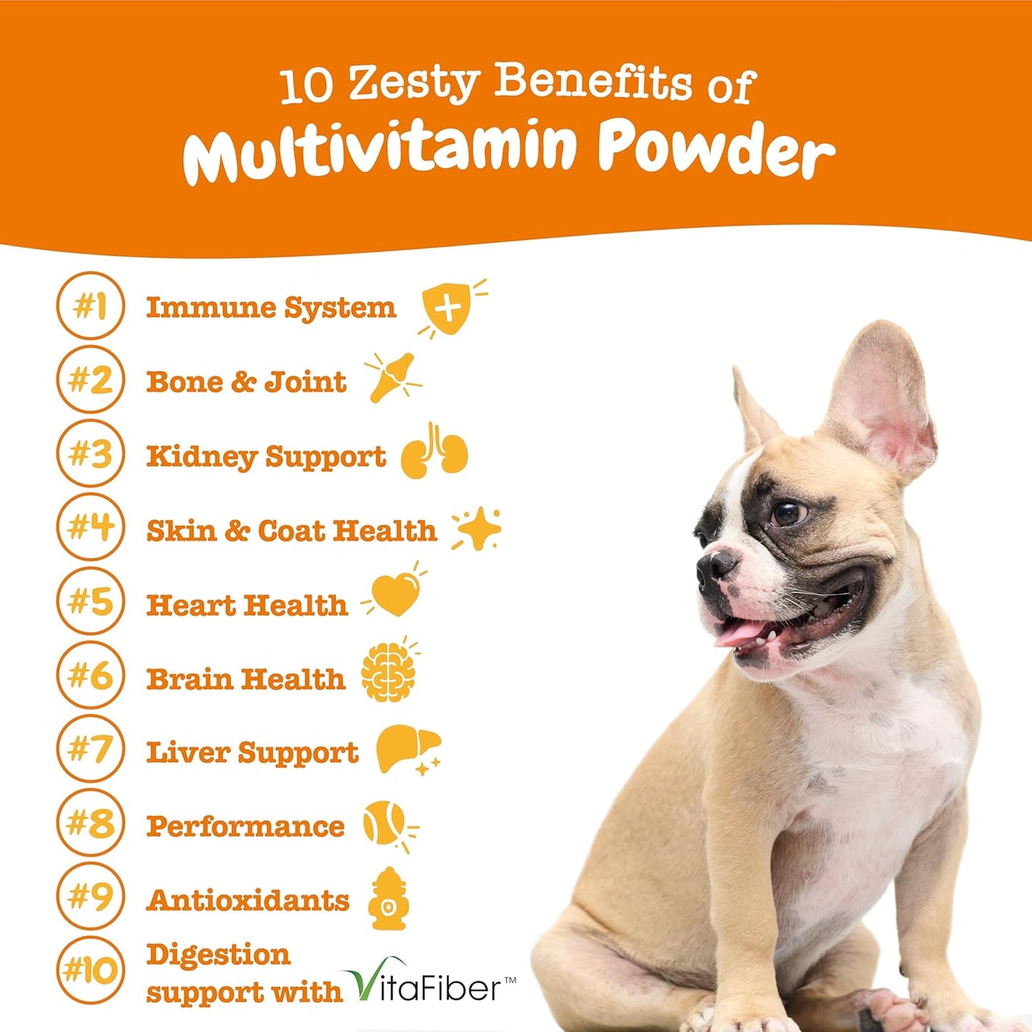 Zesty Paws 10-in-1 Dog Multivitamin Powder - Gut, Immune, Joint, Skin & Coat Support, and More - Dog Vitamins and Supplements Powder - Pet Supplements with Omega Fish Oil & VitaFiber - Salmon - 30 Ct