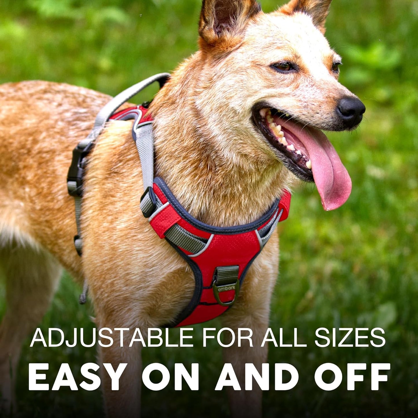 Embark Adventure Dog Harness, Reflective Trim No Pull Dog Harnesses for Small Sized Dogs - Military Grade Nylon, Front Clip with Gel Lined Handle. Soft & Padded Puppy