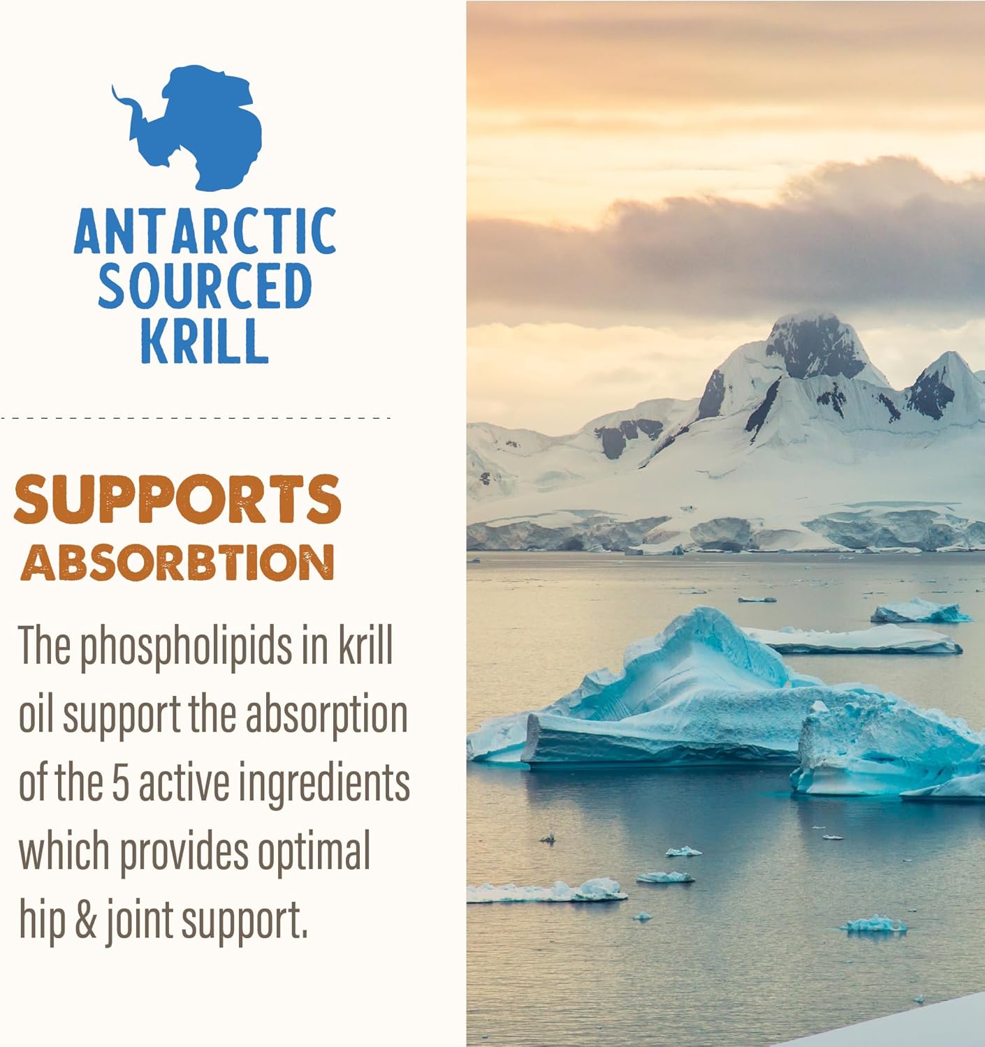 Grizzly Pet Products Joint Aid Liquid Hip and Joint Health Supplement Product for Dogs and Cats, 32 Ounce