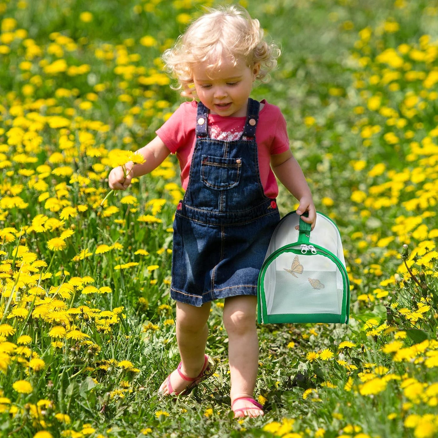 Small Butterfly Habitat, Insect Mesh Cage, Caterpillar Enclosure, Critter Cage, Bug Terrarium Portable Carry Handle Easy to Observe 8 x 8 x 8 Inches