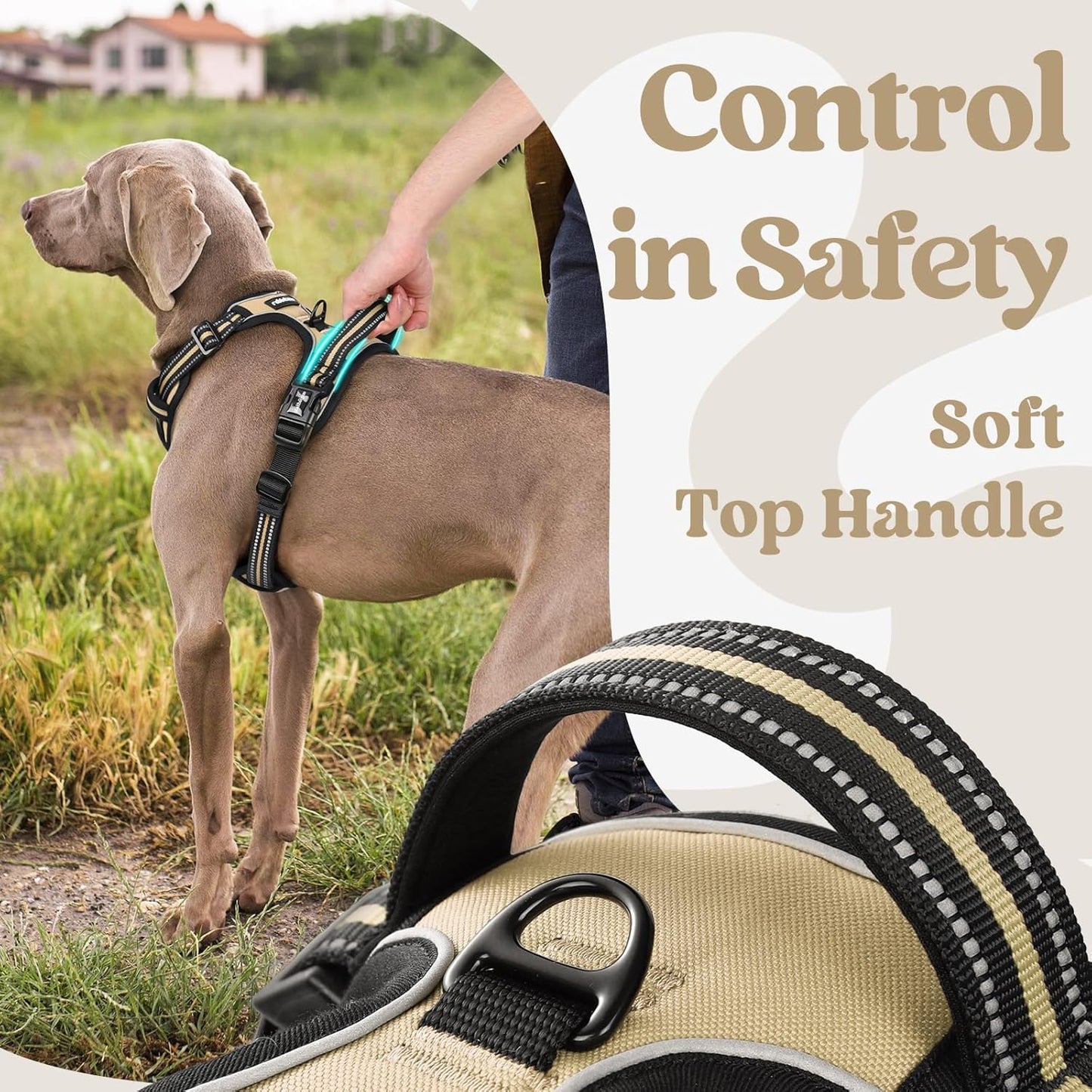 rabbitgoo Dog Harness Small Sized, No Pull Pet Harness with 3 Buckles, Adjustable Soft Padded Vest with Control Handle, Walking Reflective Pet Vest for Small Dogs, Beige, S