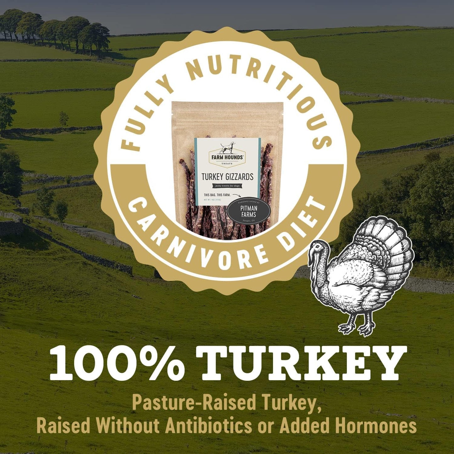 Farm Hounds - Turkey Gizzards - Premium Natural Jerky for Dogs - 100% Humanely Raised Turkey - Break-to-Size - Great for Training & Treats - No Added Fillers - Made in USA - 4oz - 2 Pack