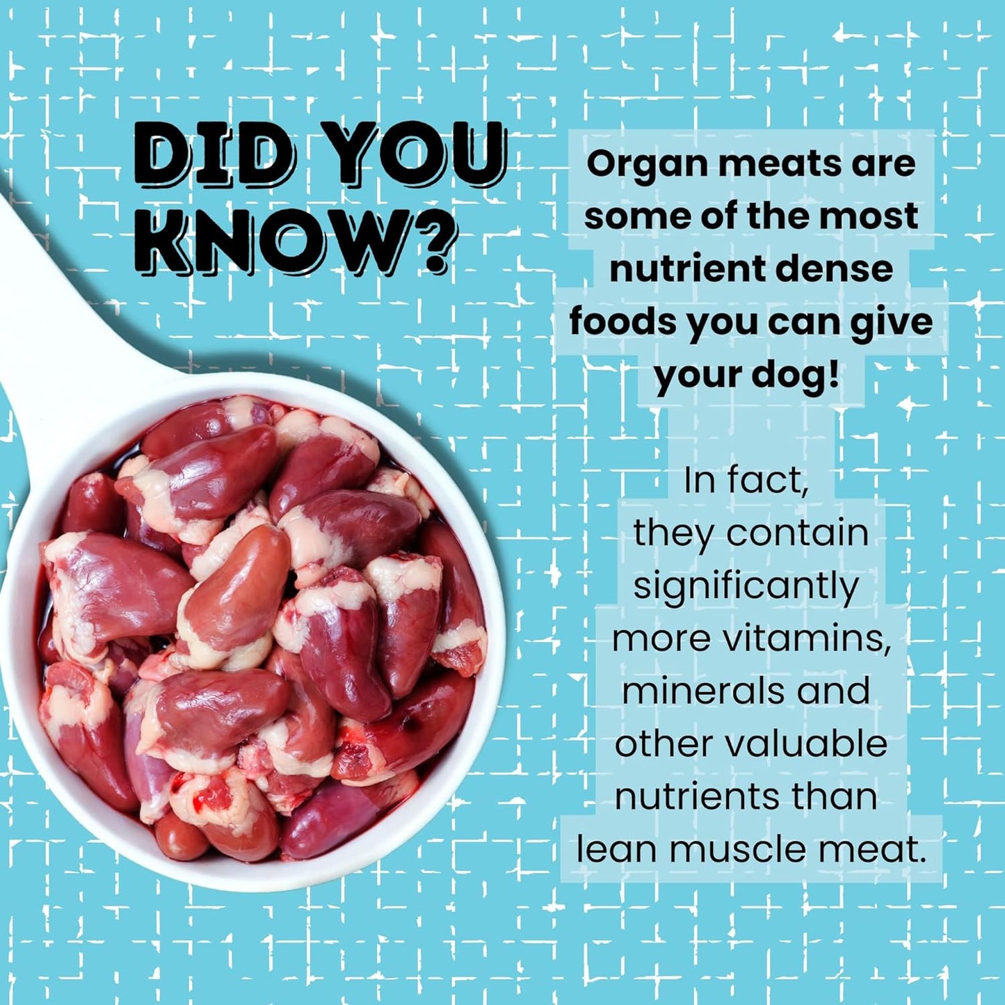 hotspot pets Freeze Dried Chicken Treats for Cats & Dogs -1LB Big Bag- Made in USA - Single Ingredient - Resealable Bag, All Natural Grain-Free (Chicken Breast)- Perfect for Training, Topper or Snack